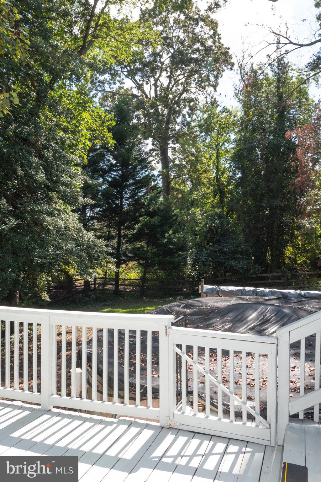 2 Gary Avenue Rehoboth Beach, DE 19971 - Photo 37 of 49 pool