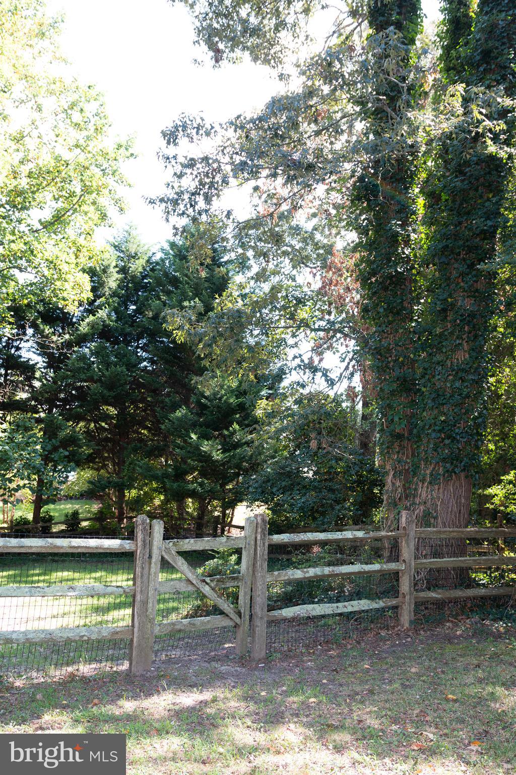 2 Gary Avenue Rehoboth Beach, DE 19971 - Photo 46 of 49 side yard, south gate to back yard