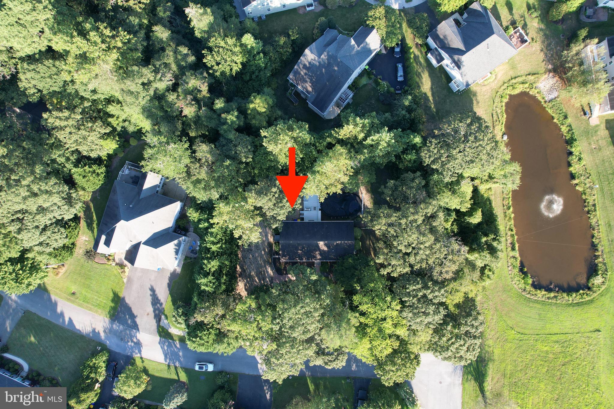 2 Gary Avenue Rehoboth Beach, DE 19971 - Photo 6 of 49 private location of 2 Gary Ave .52-acre wooded lot