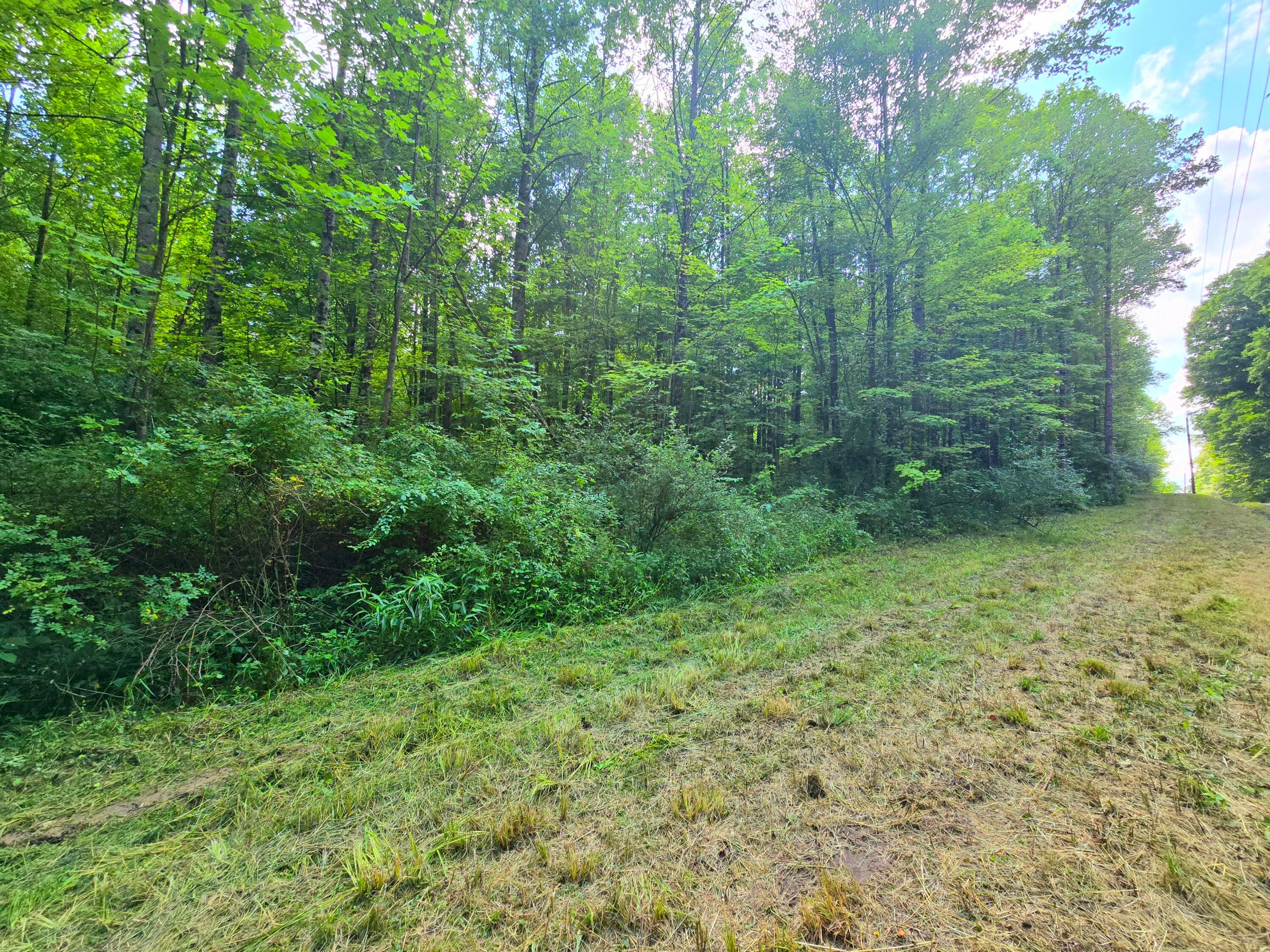 9026 Gregg Road Fredericktown, OH 43019 - Photo 14 of 17 1000062290