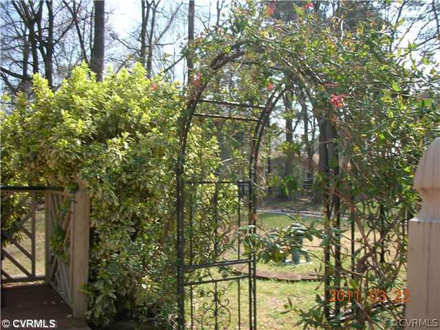 111 Princeton Road Colonial Heights, VA 23834 - Photo 9 of 10 Yard/Garden - Lovely & it hasent budded yet !