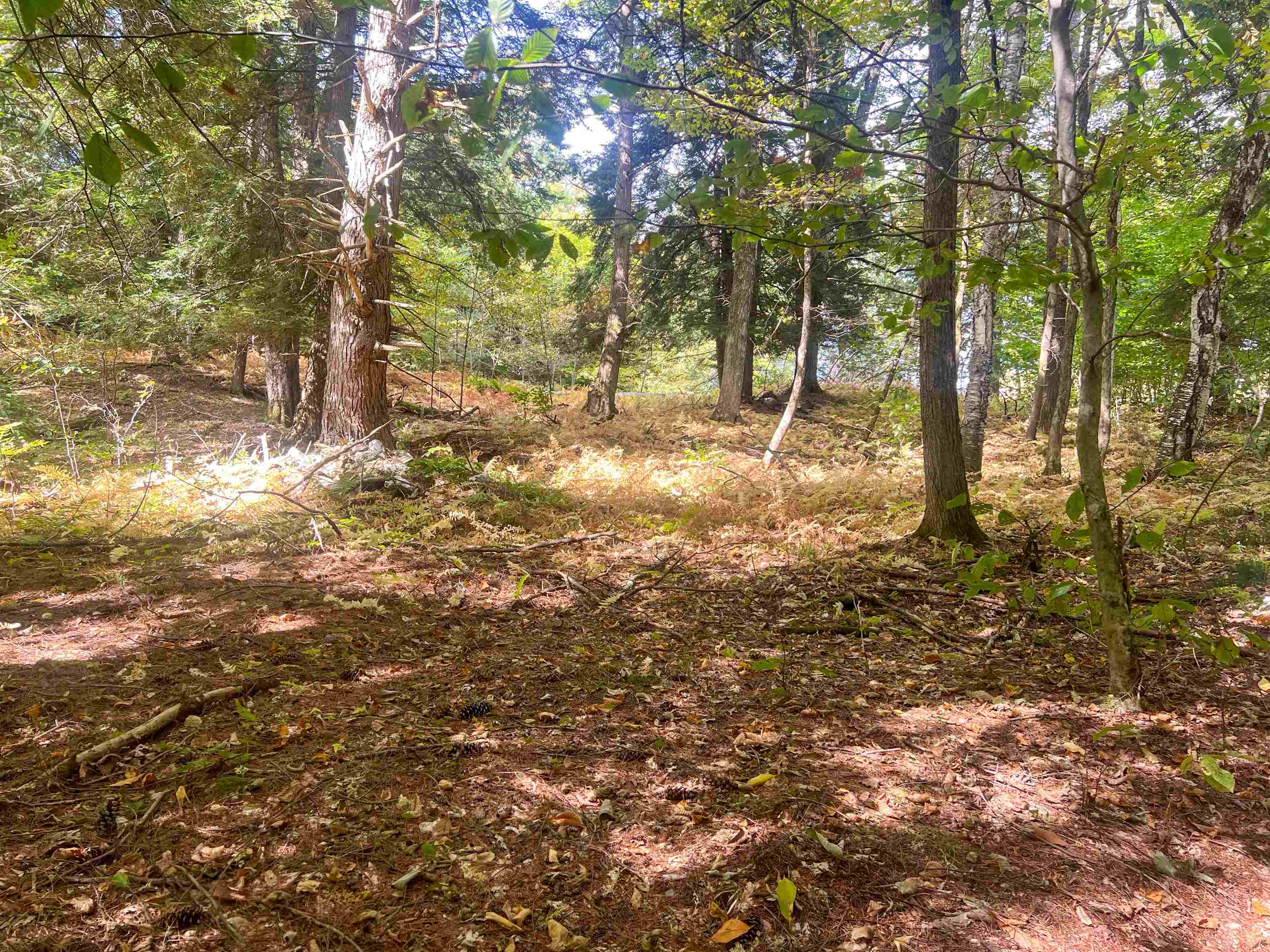 0 Bliss Road White River Junction, VT 05001 - Photo 11 of 27