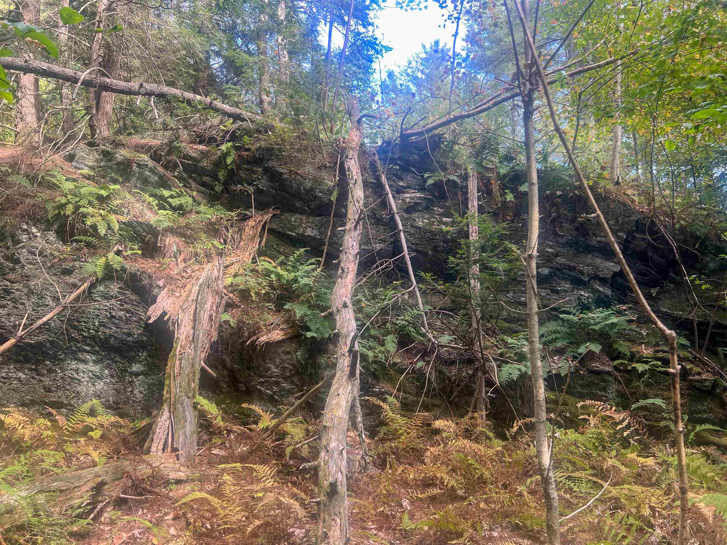 0 Bliss Road White River Junction, VT 05001 - Photo 12 of 27