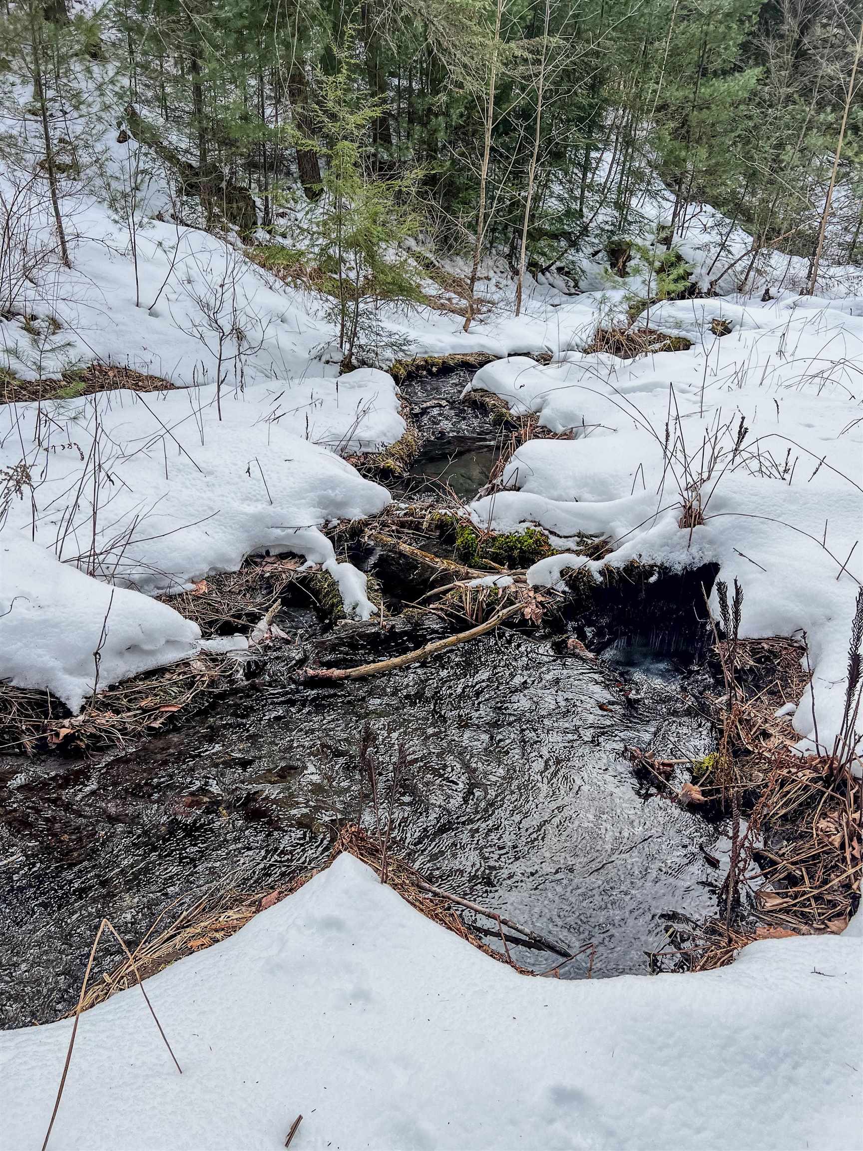 0 Bliss Road White River Junction, VT 05001 - Photo 13 of 27