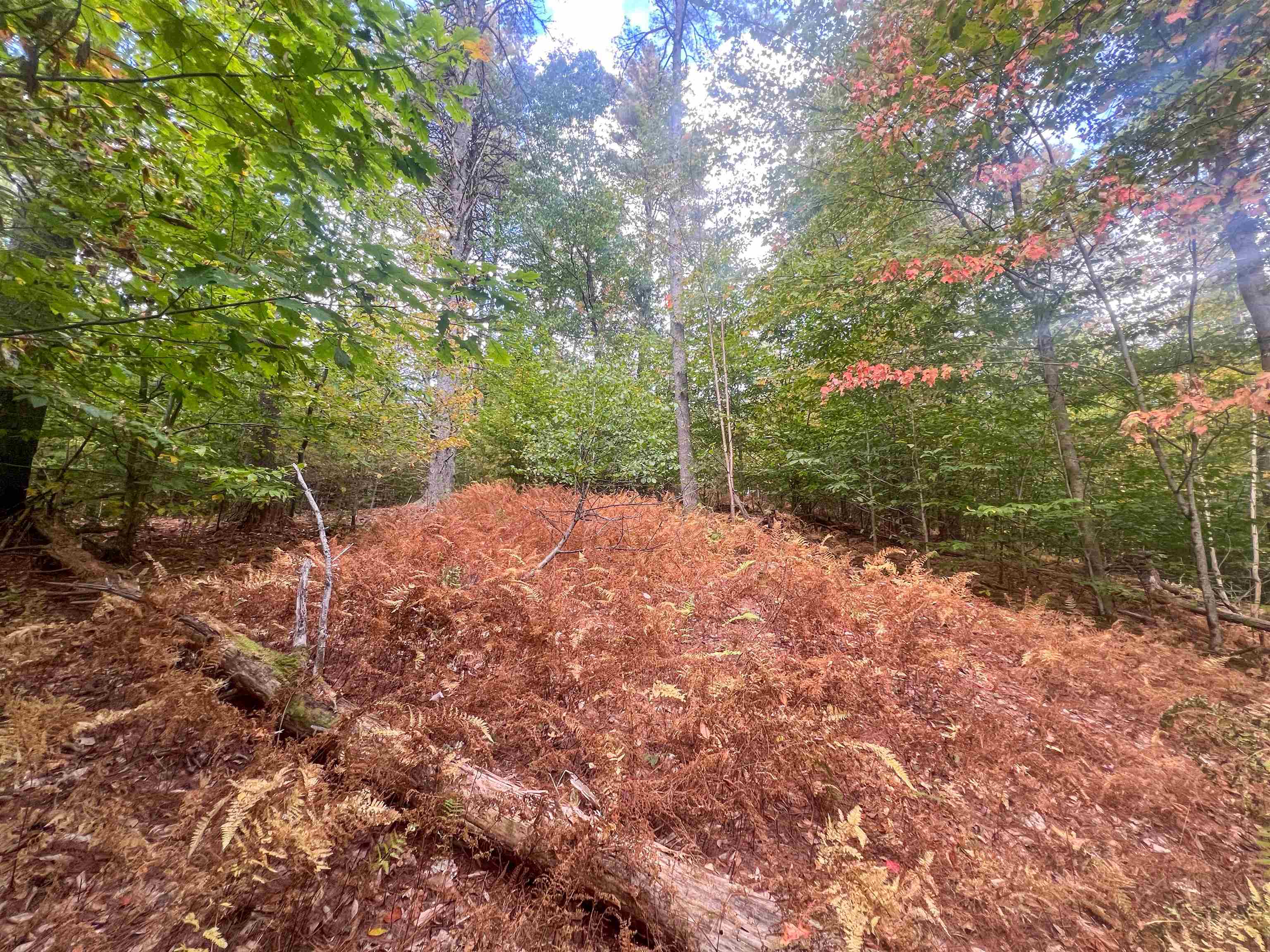 0 Bliss Road White River Junction, VT 05001 - Photo 14 of 27