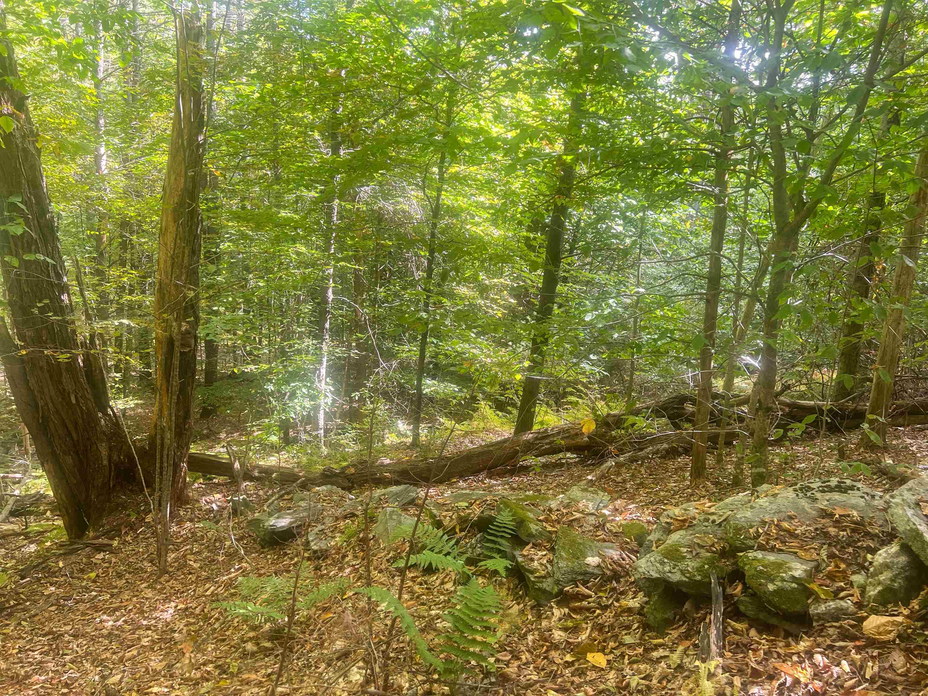 0 Bliss Road White River Junction, VT 05001 - Photo 15 of 27