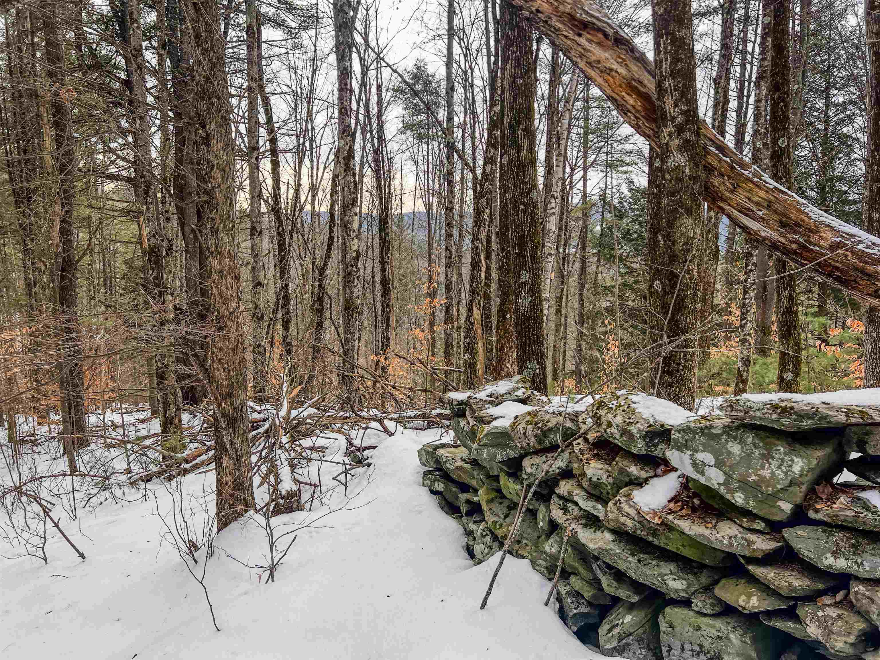 0 Bliss Road White River Junction, VT 05001 - Photo 16 of 27