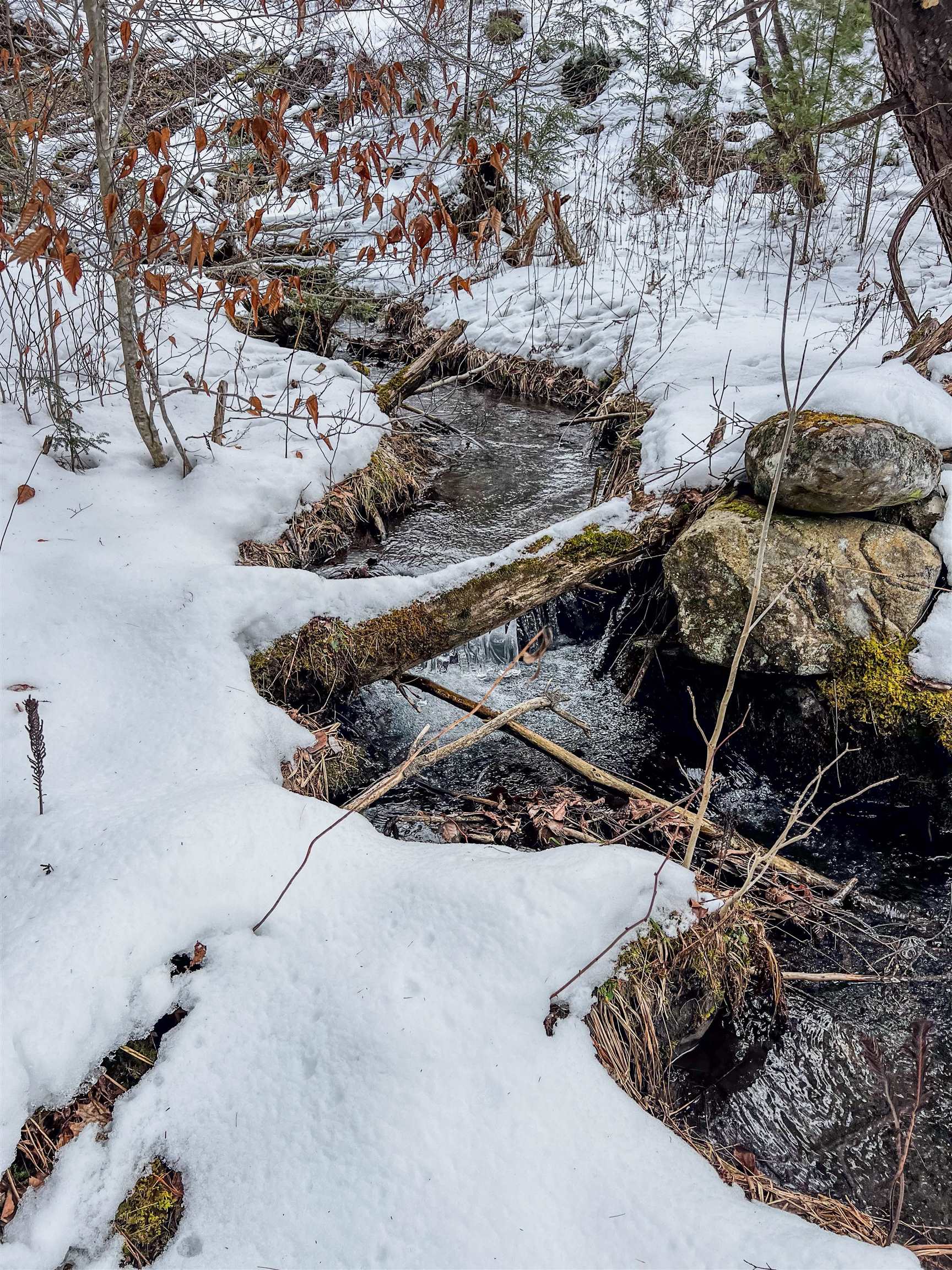 0 Bliss Road White River Junction, VT 05001 - Photo 17 of 27