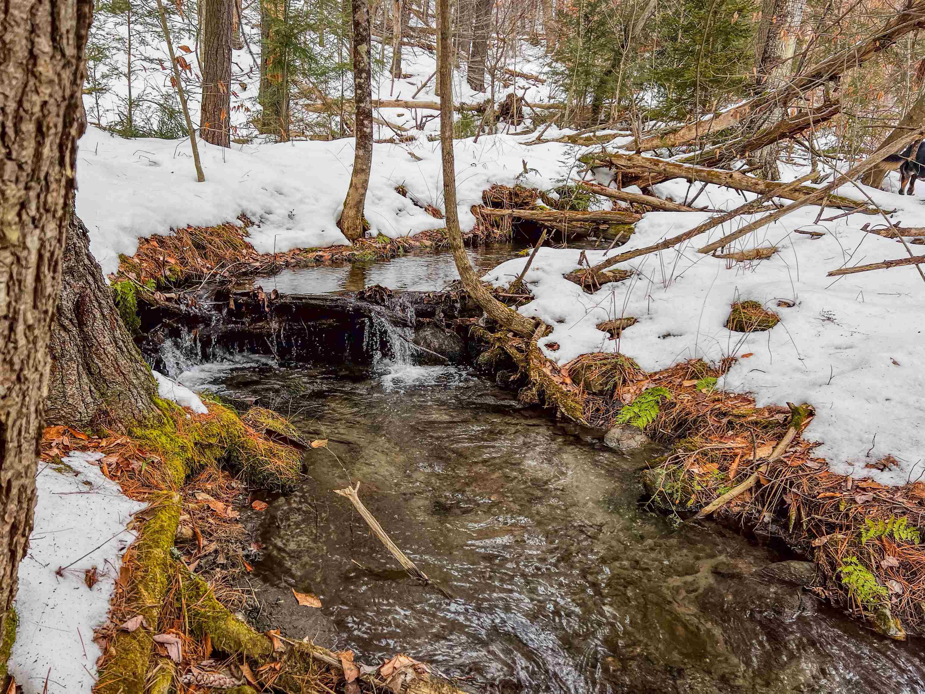 0 Bliss Road White River Junction, VT 05001 - Photo 18 of 27