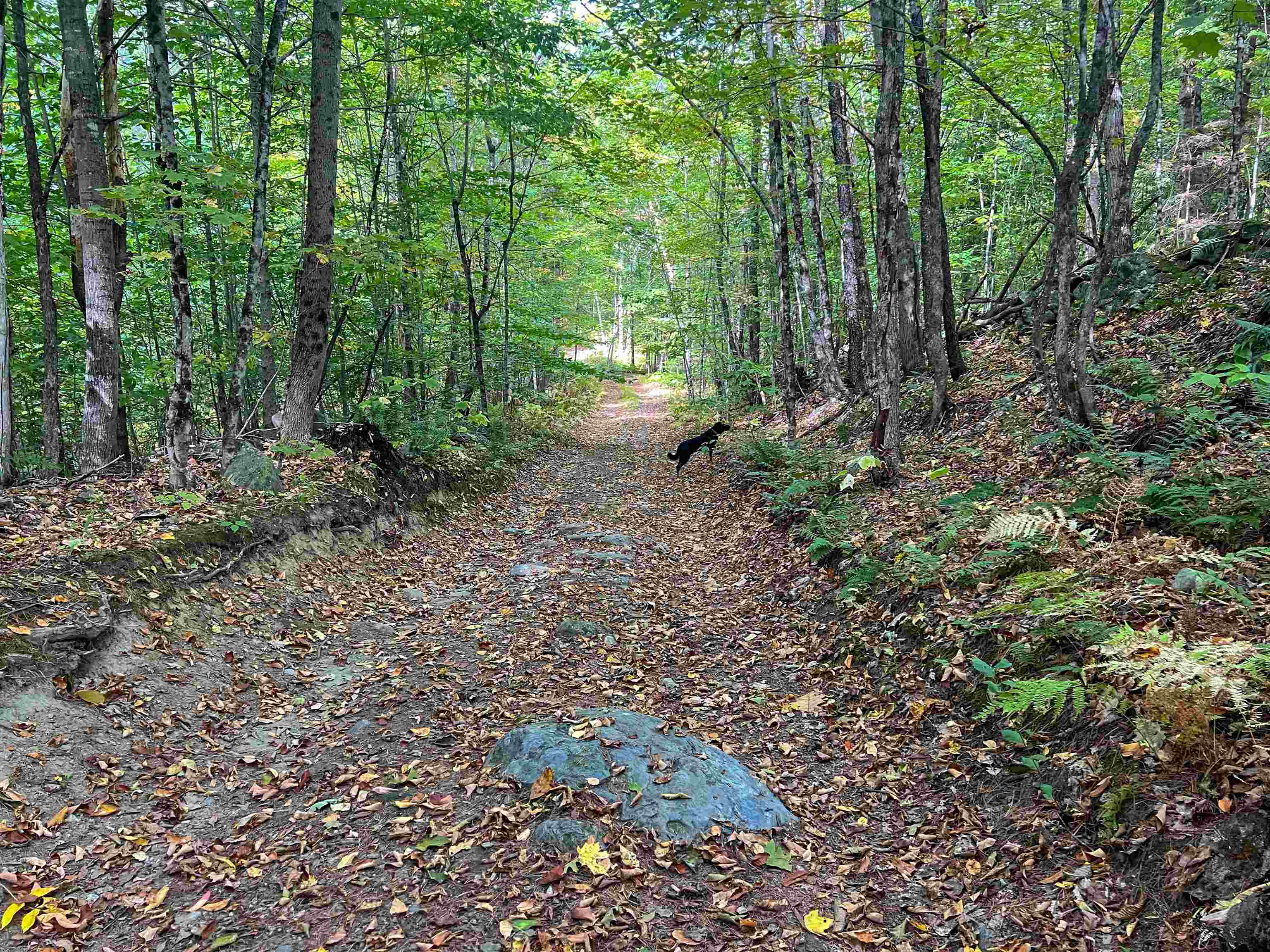 0 Bliss Road White River Junction, VT 05001 - Photo 21 of 27