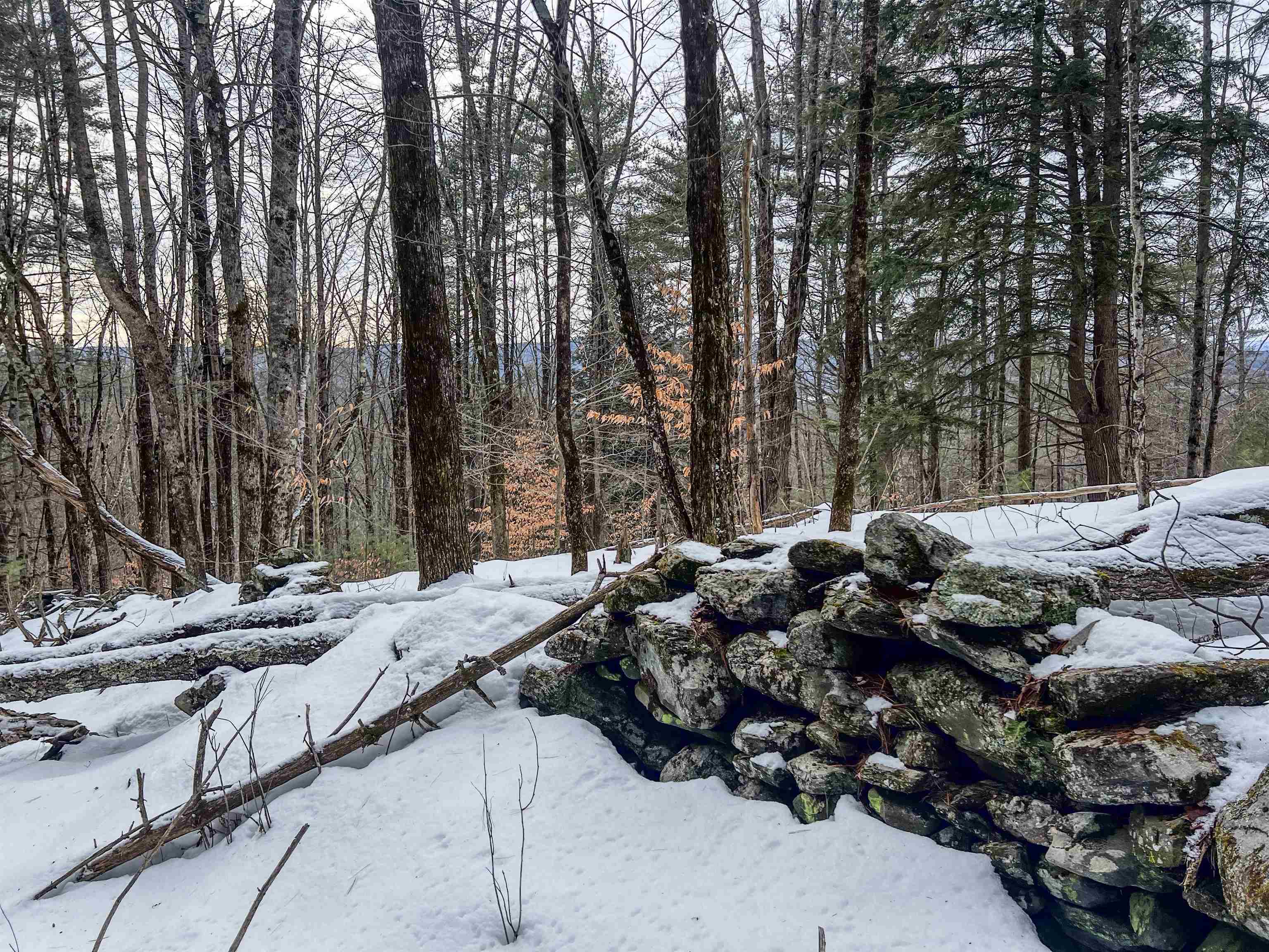 0 Bliss Road White River Junction, VT 05001 - Photo 22 of 27