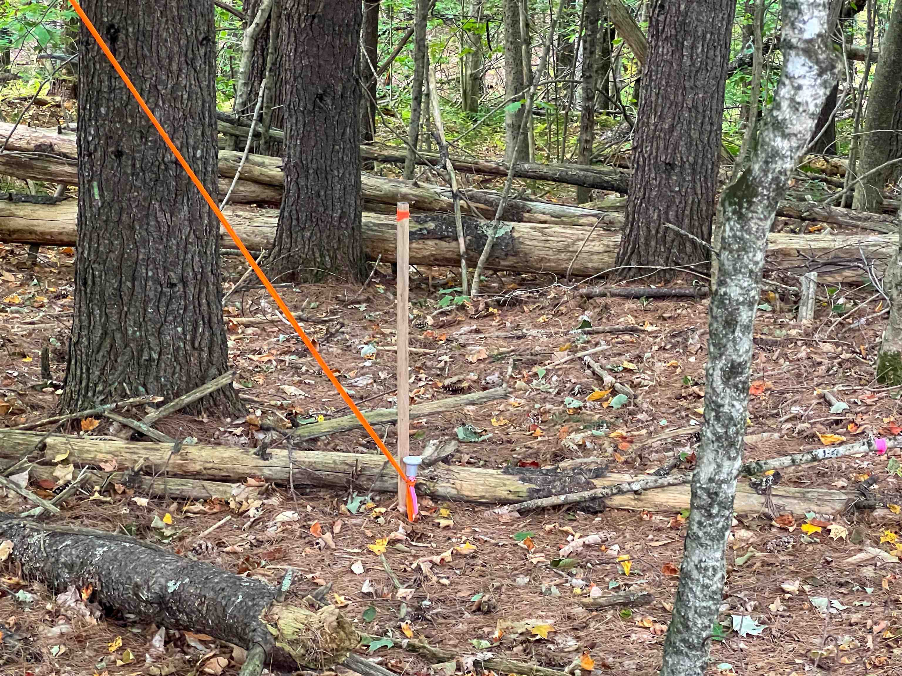 0 Bliss Road White River Junction, VT 05001 - Photo 25 of 27