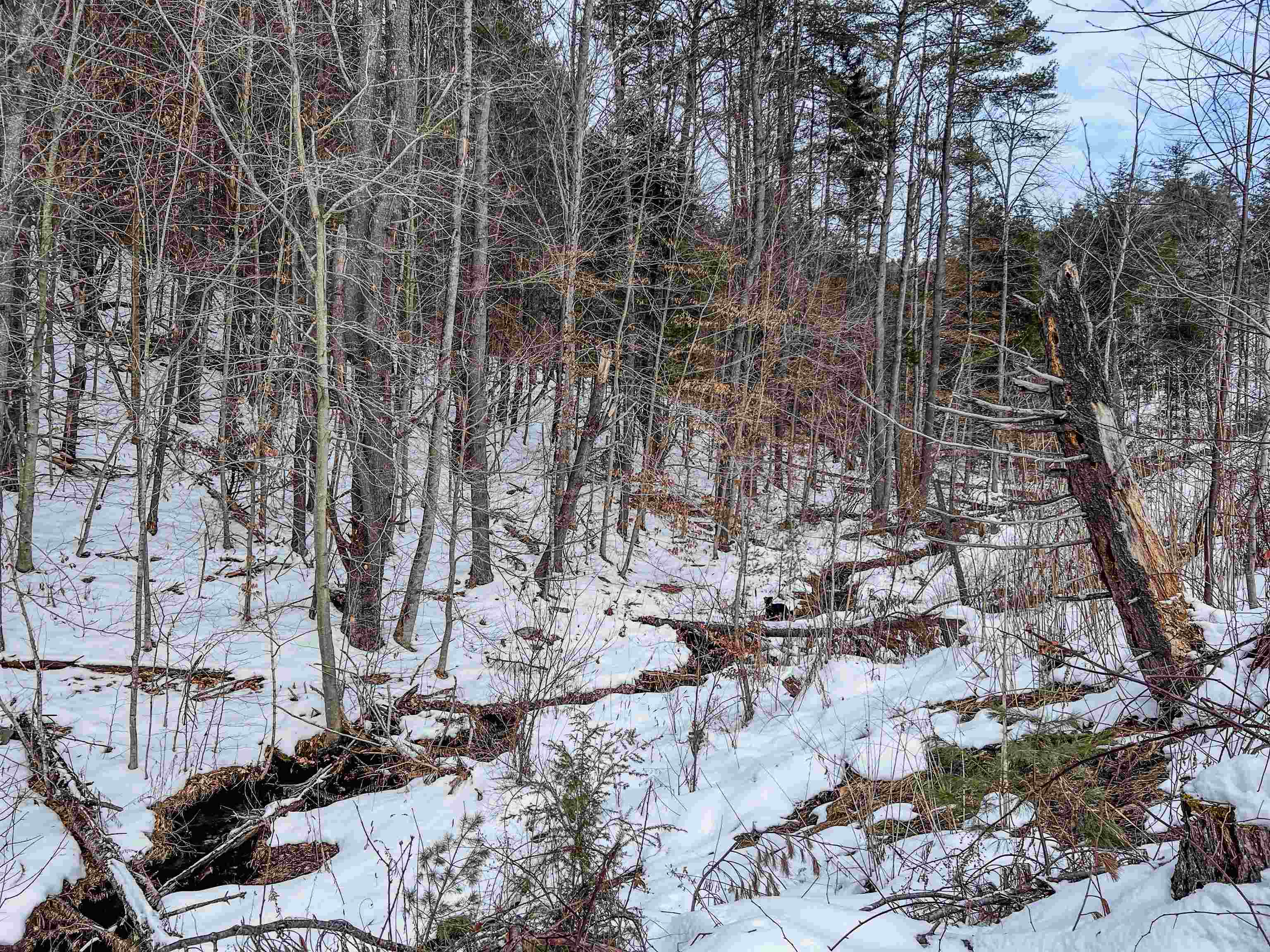 0 Bliss Road White River Junction, VT 05001 - Photo 27 of 27