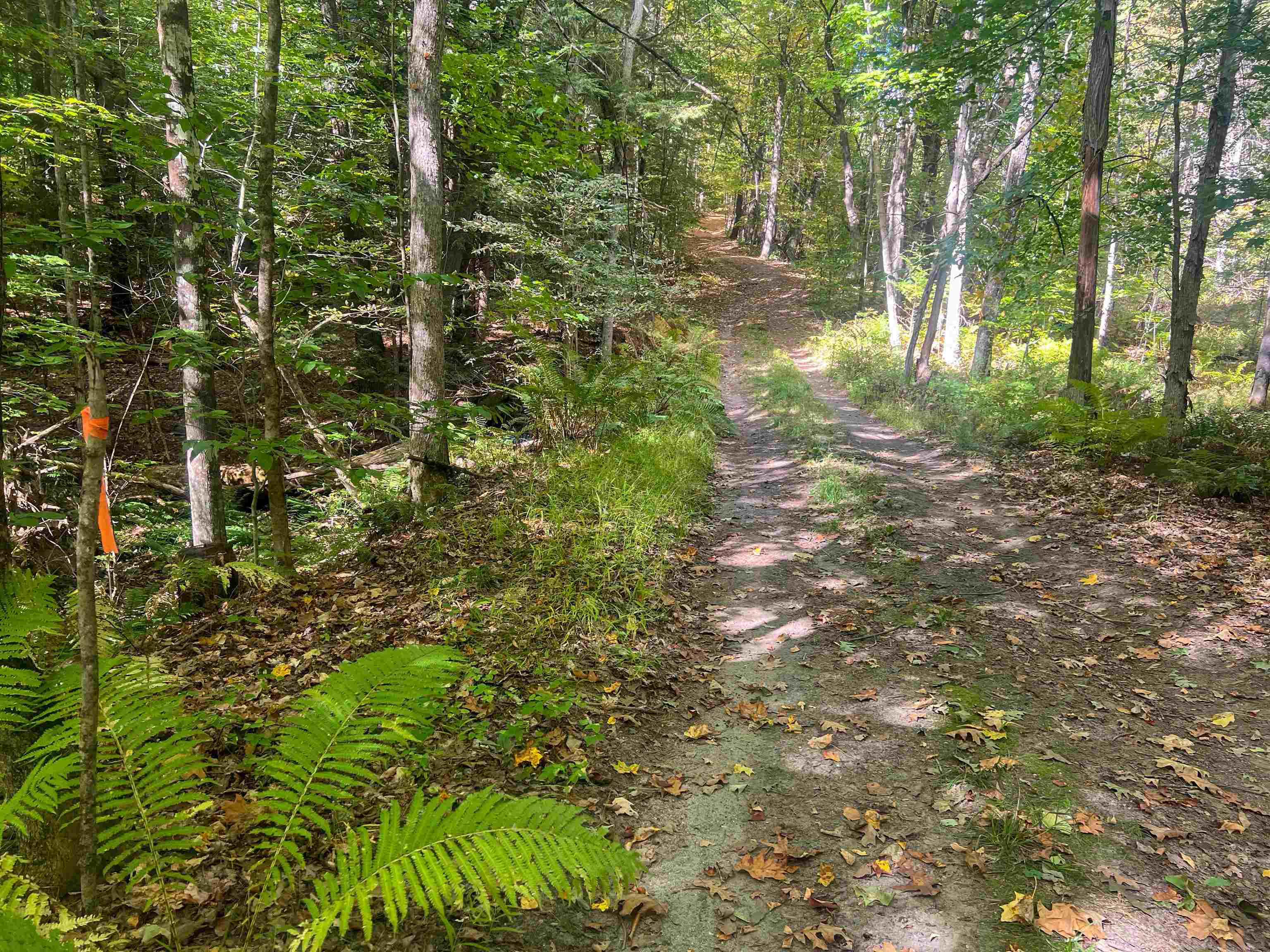 0 Bliss Road White River Junction, VT 05001 - Photo 3 of 27