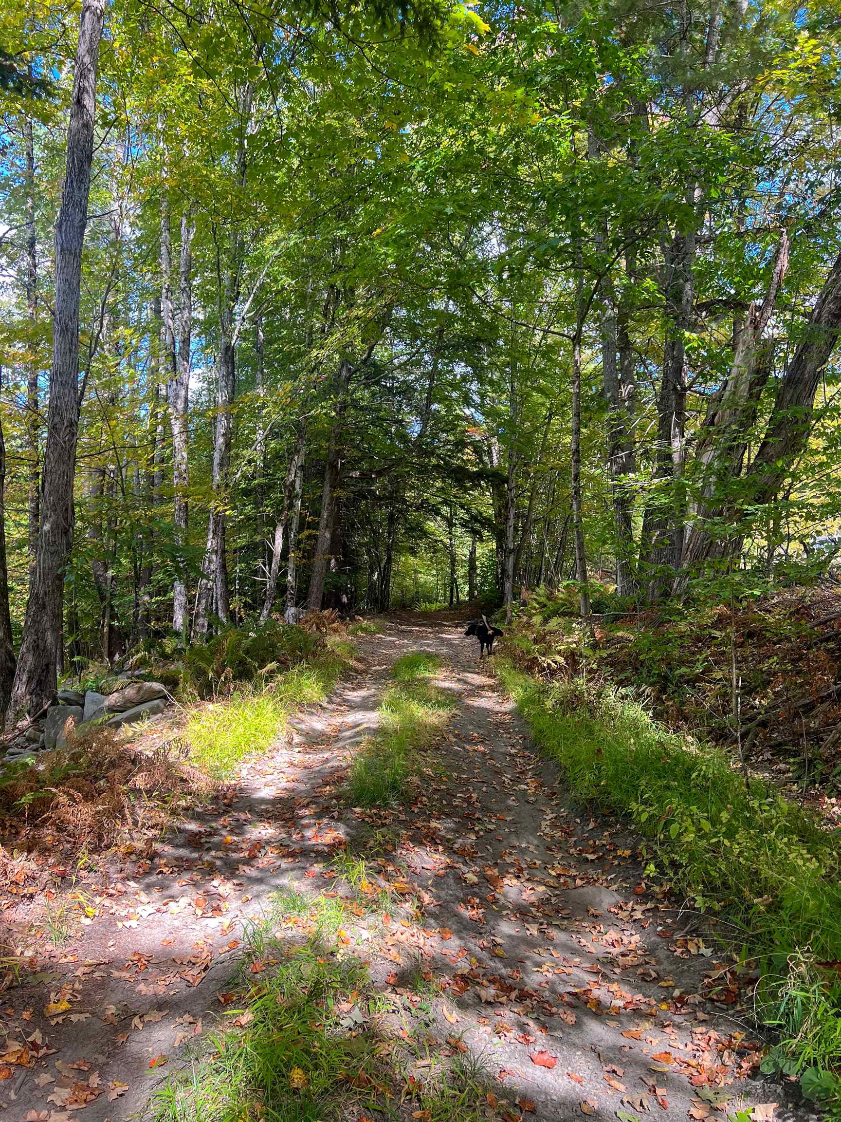 0 Bliss Road White River Junction, VT 05001 - Photo 5 of 27