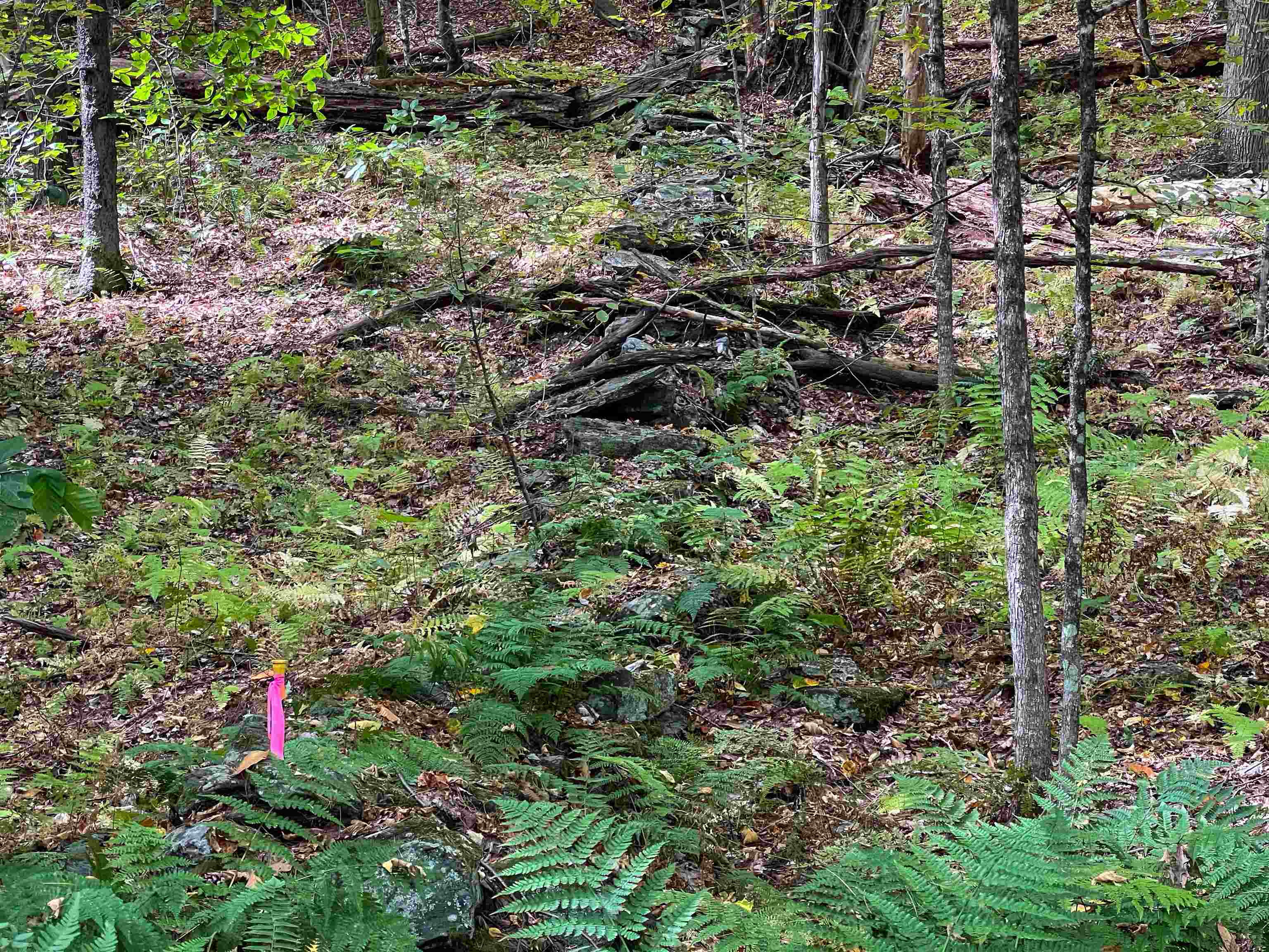 0 Bliss Road White River Junction, VT 05001 - Photo 7 of 27