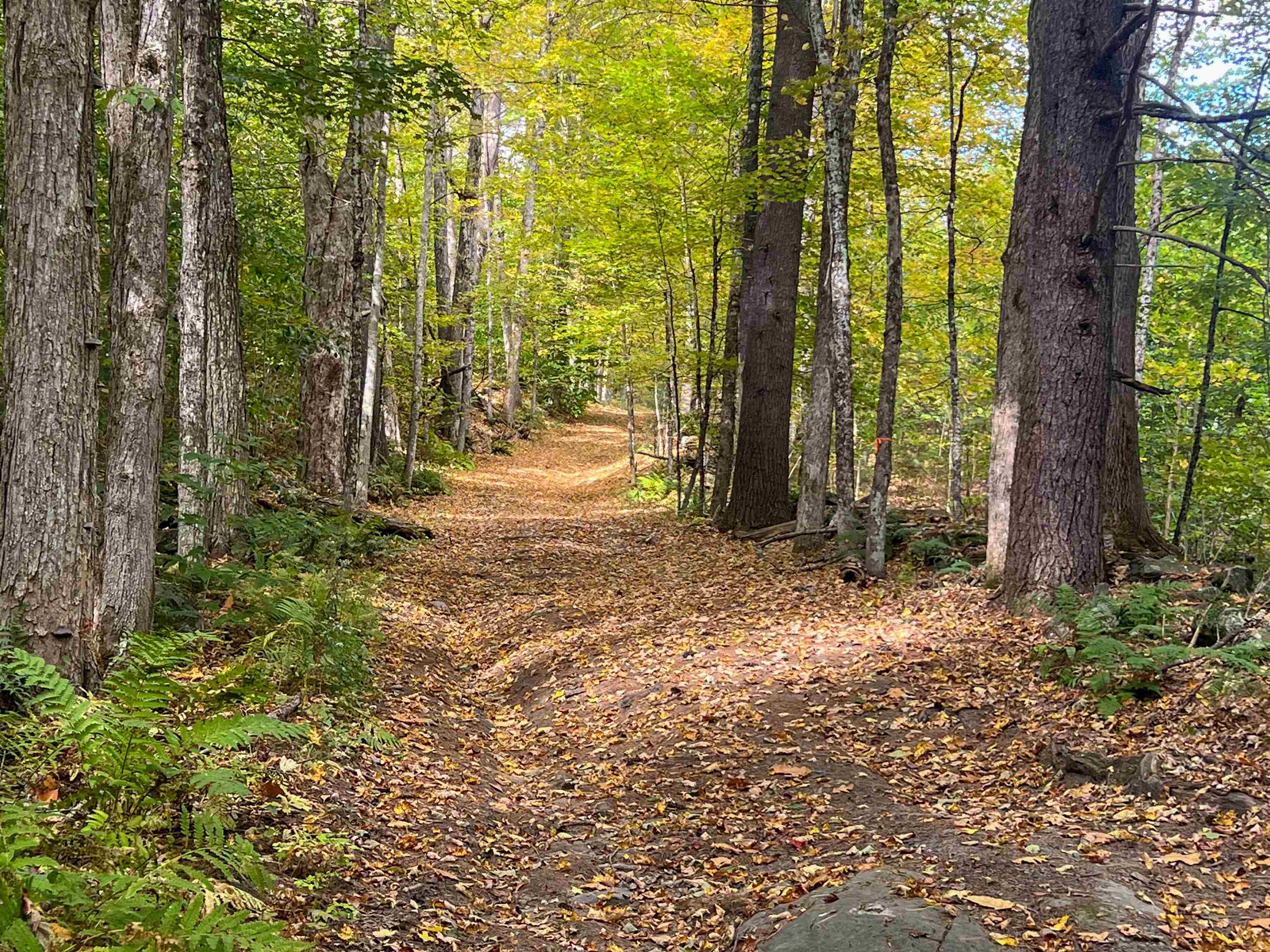 0 Bliss Road White River Junction, VT 05001 - Photo 8 of 27