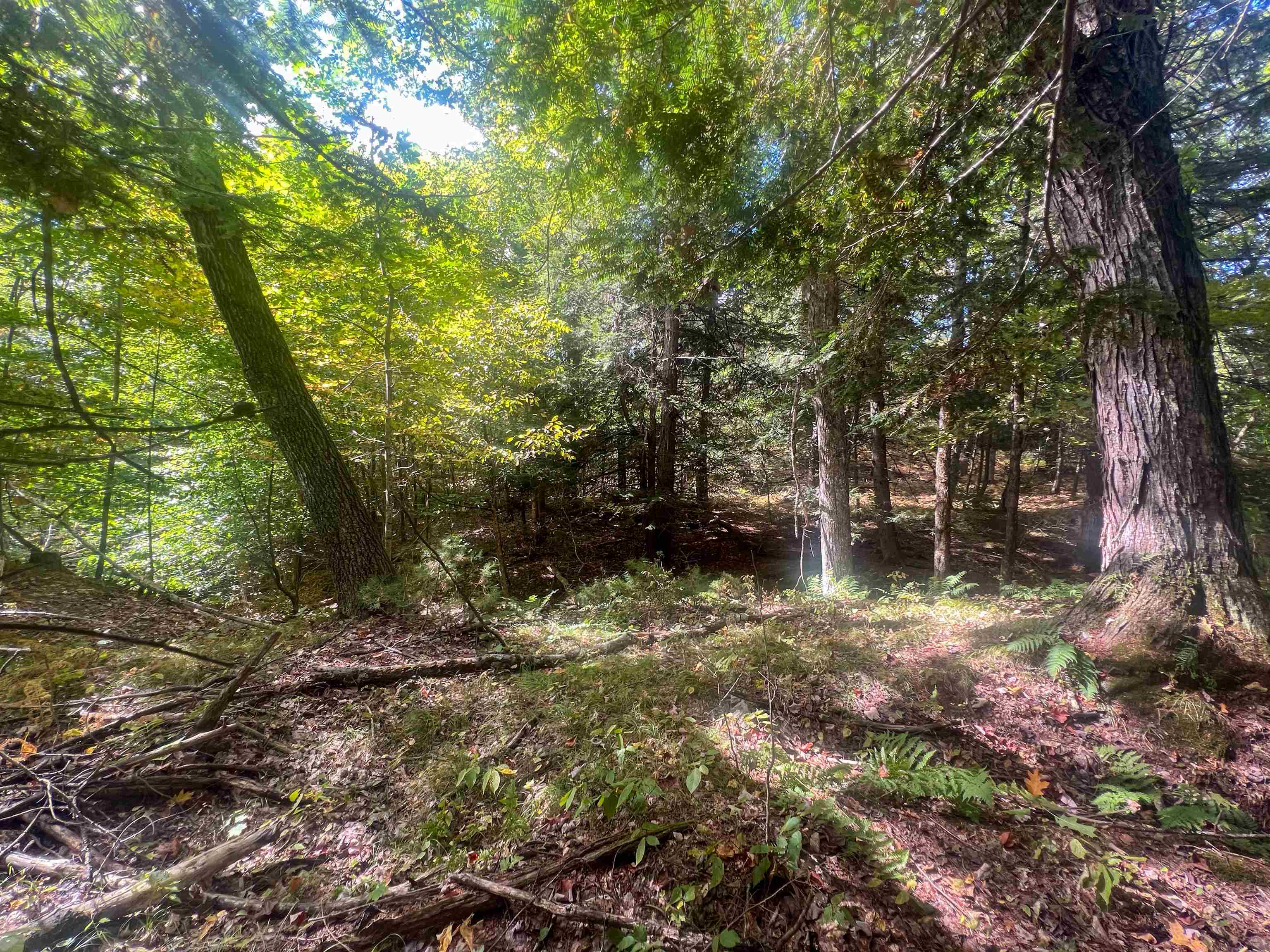 0 Bliss Road White River Junction, VT 05001 - Photo 10 of 27