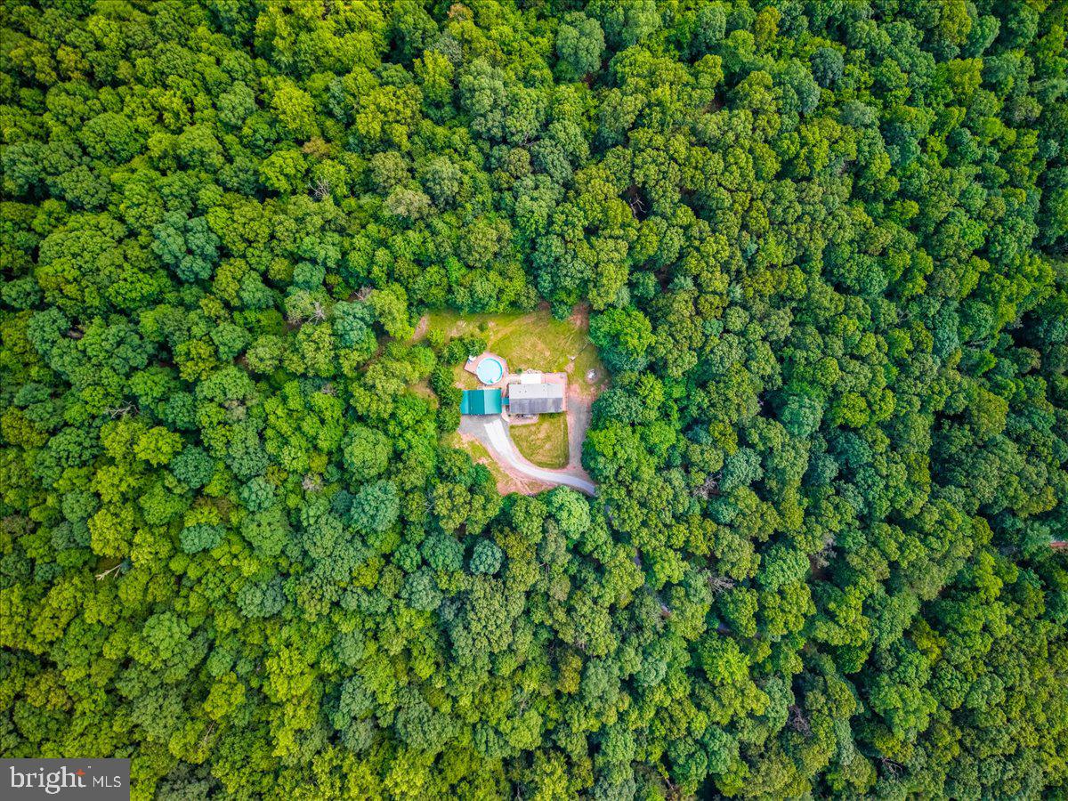 14145 Roberts Road Hancock, MD 21750 - Photo 65 of 69 a aerial view of a house with a yard and a tree