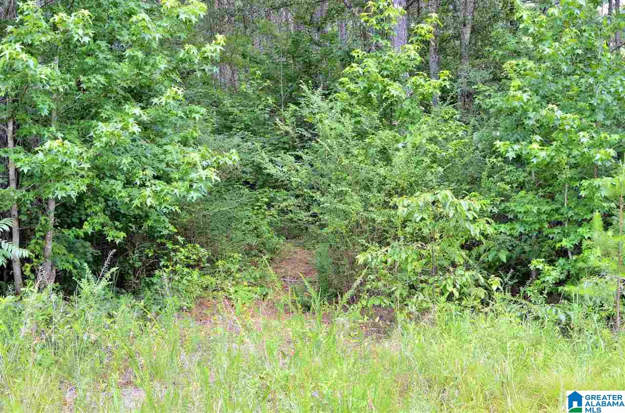 1660 New Liberty Road, Unit X Wellington, AL 36279 - Photo 5 of 5