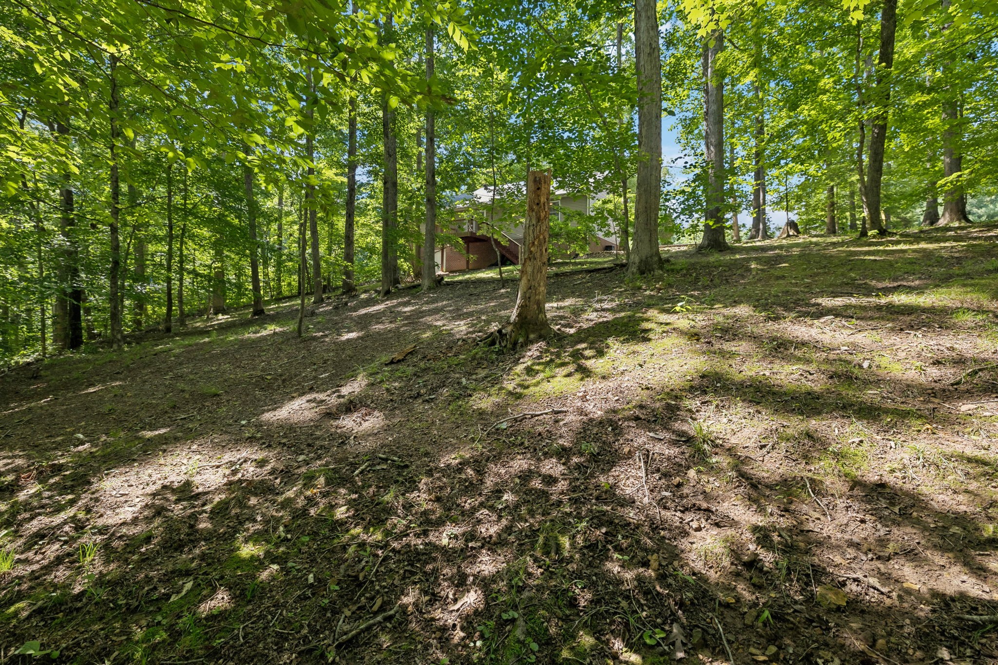 117 West Dell Road Dickson, TN 37055 - Photo 28 of 35