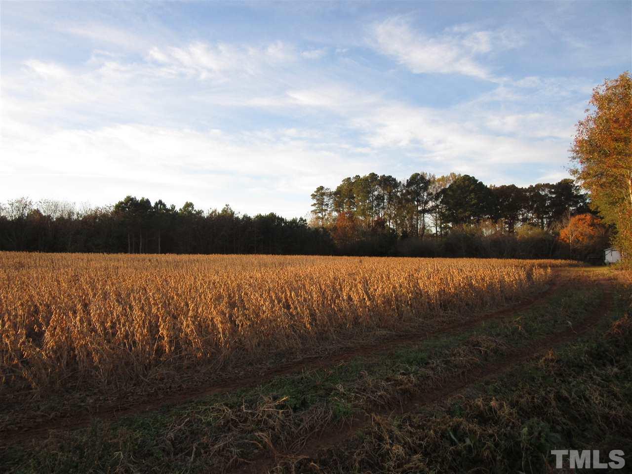 Lot 10 Buck Road, Unit 28 01 ACRES Middlesex, NC 27557 - Photo 1 of 3 Gallery Image 1