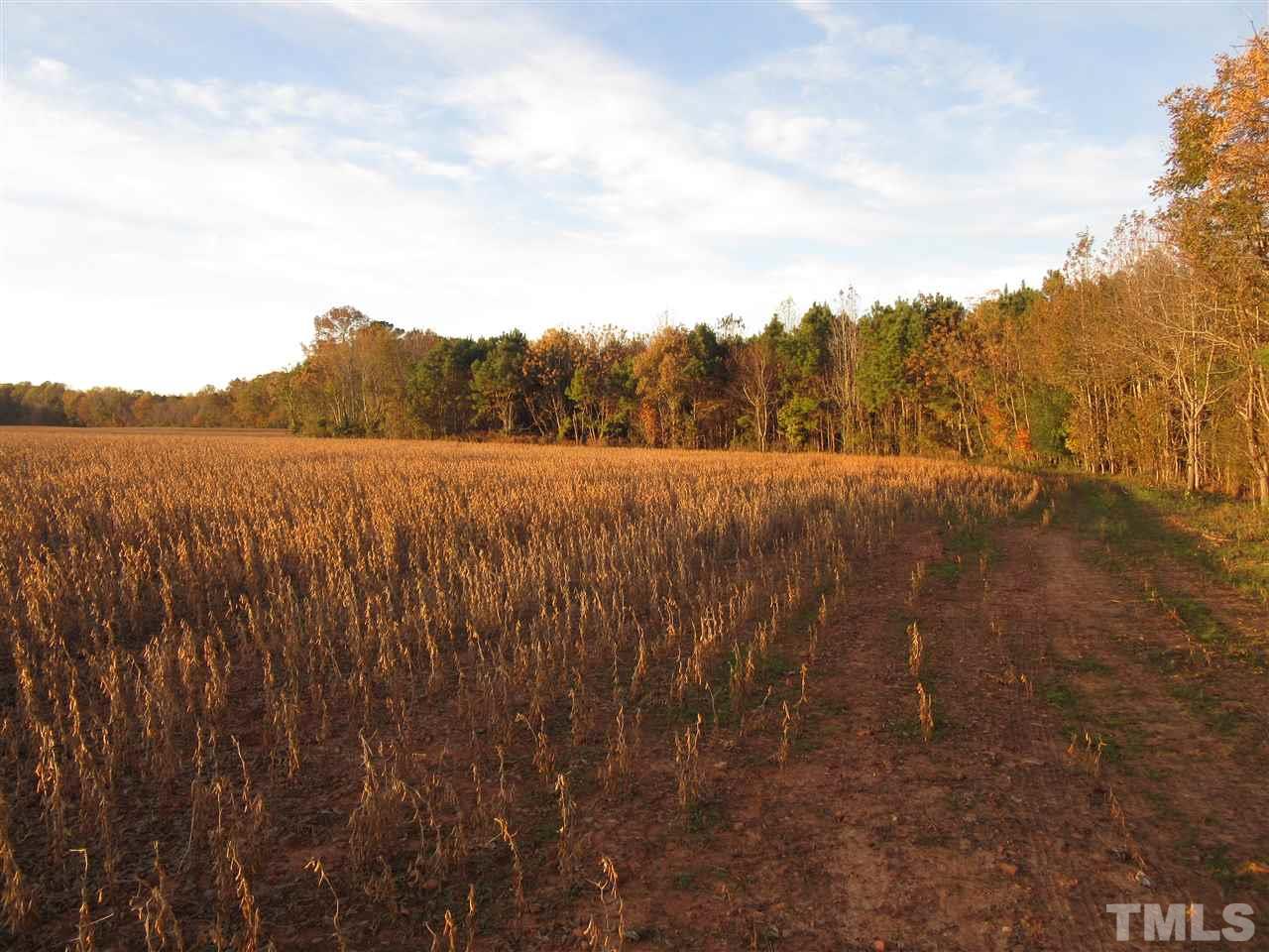 Lot 10 Buck Road, Unit 28 01 ACRES Middlesex, NC 27557 - Photo 3 of 3 Gallery Image 3