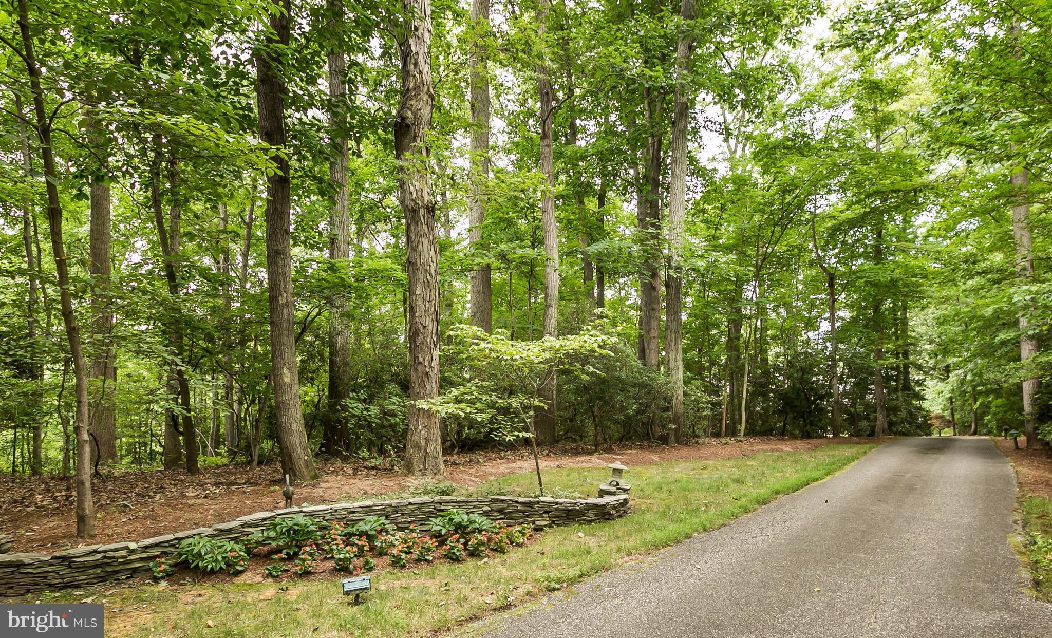 133 Claiborne Road Edgewater, MD 21037 - Photo 5 of 30 320+ ft tree-lined drive from culdesac
