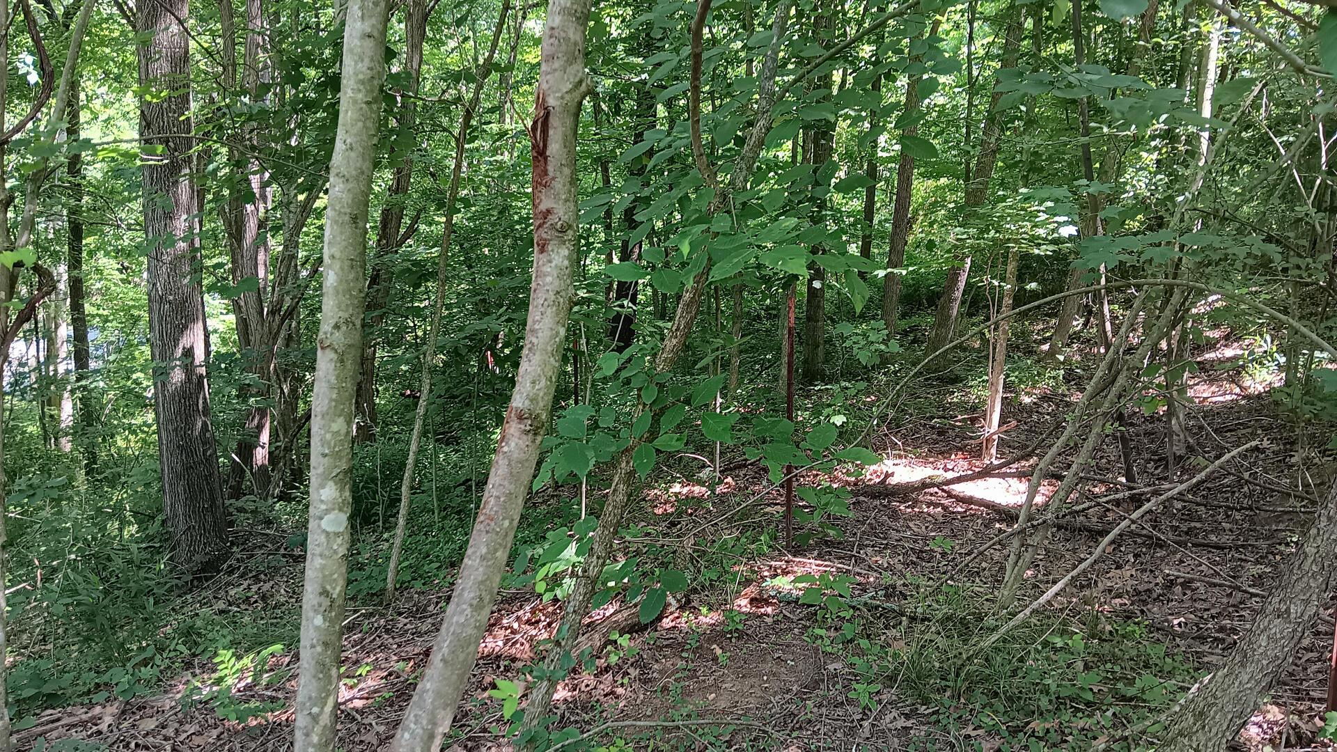 0 681st Road, Unit ALBANY HIDEAWAY TRACT 4) Albany, OH 45710 - Photo 20 of 47