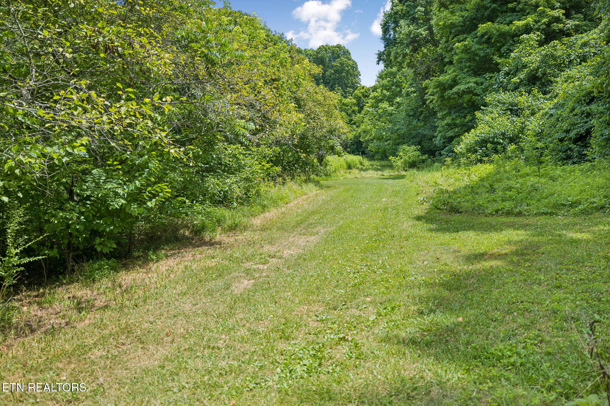 Knob Road Rutledge, TN 37861 - Photo 29 of 46 26-344 Knob Rd - 026