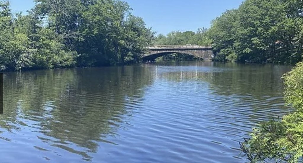 8 Riverside Street, Unit 13 Watertown, MA 02472 - Photo 5 of 18 a view of a lake with a yard and large trees
