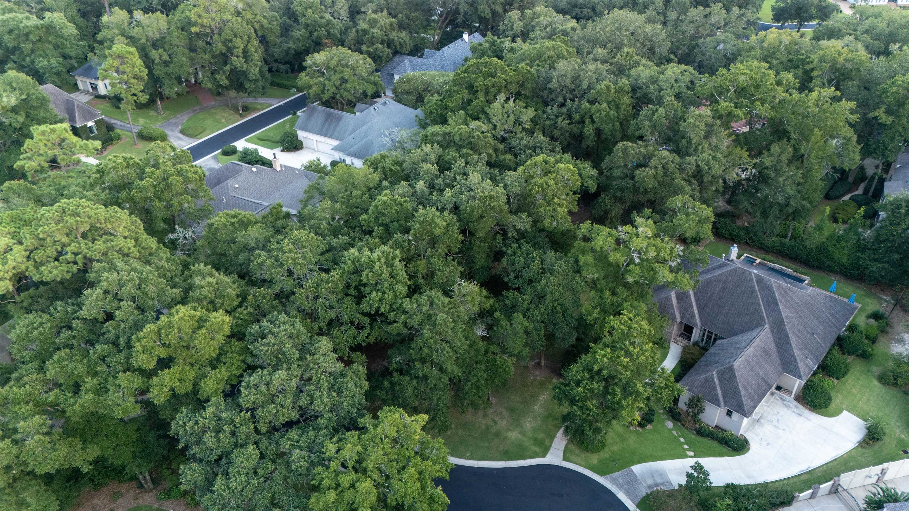 17455 Stillwood Lane Fairhope, AL 36532 - Photo 7 of 21 Aerial View