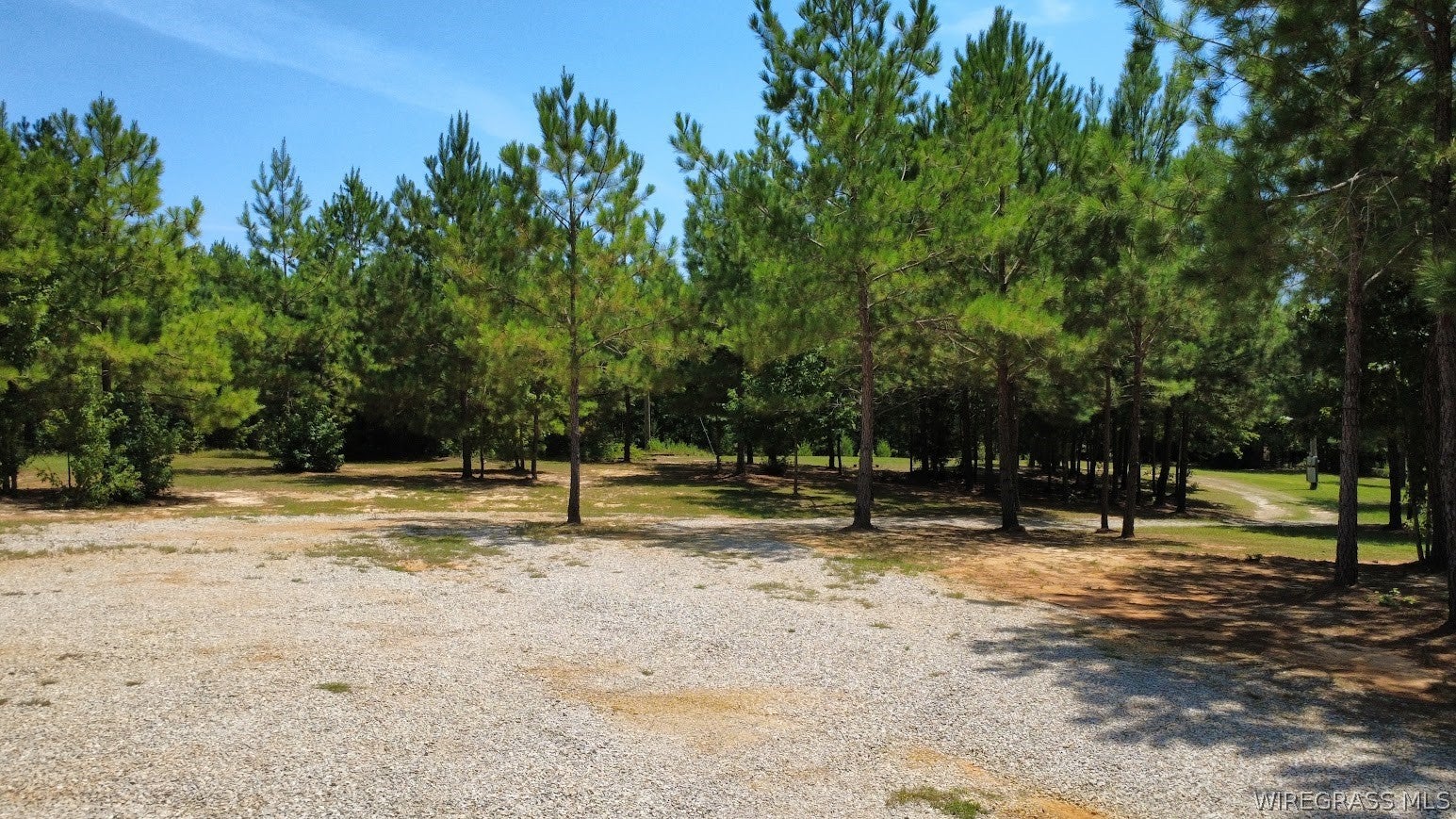 1276 Stuart Tarter Road Ozark, AL 36360 - Photo 40 of 50 Gallery Image 40
