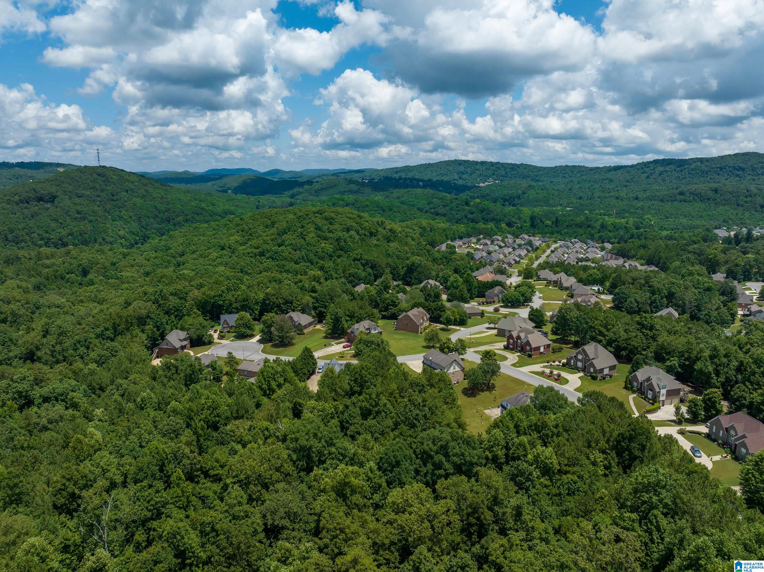 5757 Buckland Mills Pinson, AL 35126 - Photo 42 of 44