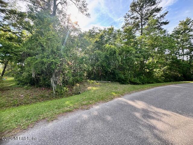 1293 Claxton Road Yulee, FL 32097 - Photo 1 of 19 a view of a yard with a tree