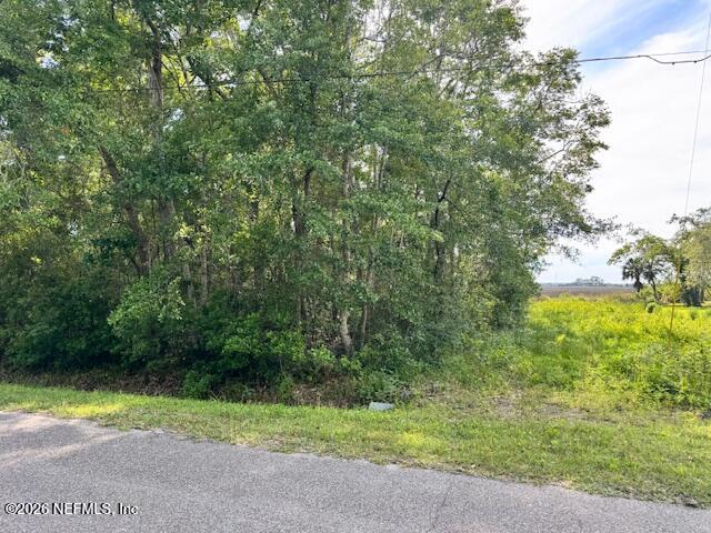 1293 Claxton Road Yulee, FL 32097 - Photo 12 of 19 a view of outdoor space and yard