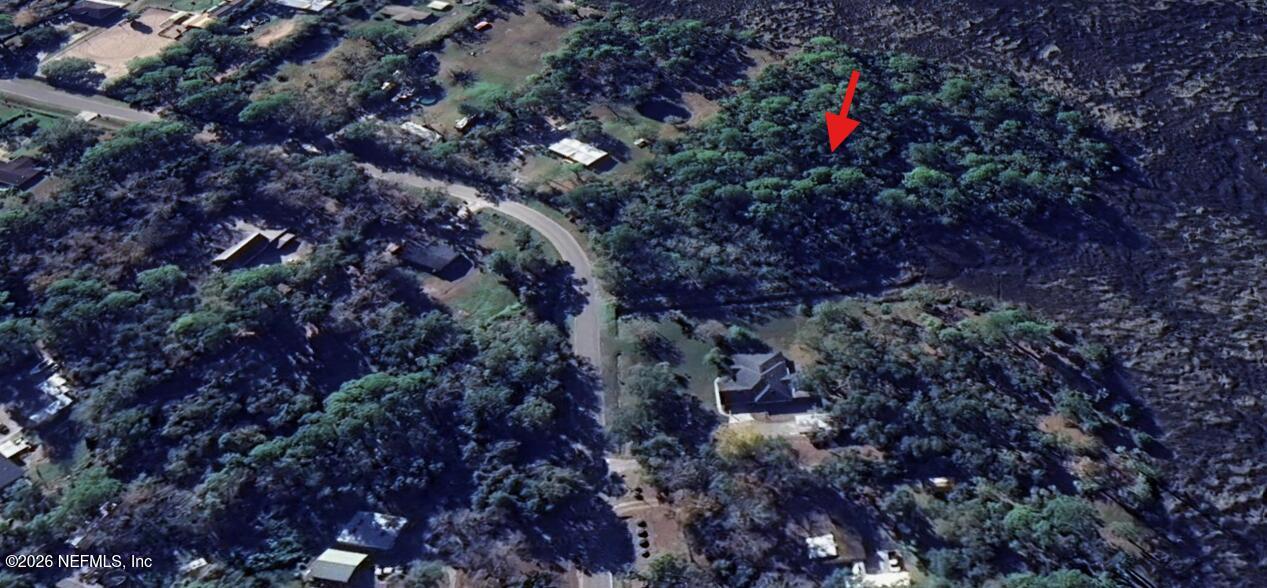 1293 Claxton Road Yulee, FL 32097 - Photo 10 of 19 a view of a house with a lush green forest