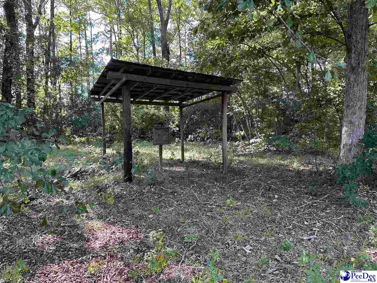 75-acres North Old Georgetown Road Coward, SC 29530 - Photo 12 of 27 Gallery Image 12