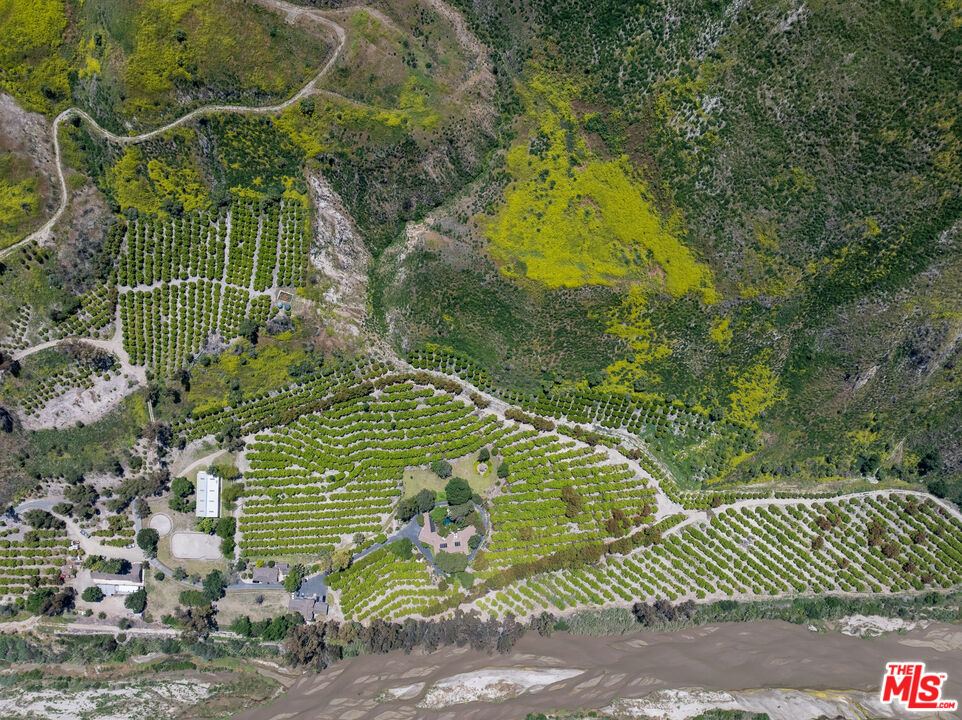 15454 South Mountain Road Oxnard, CA 93036 - Photo 57 of 65 a view of a yard