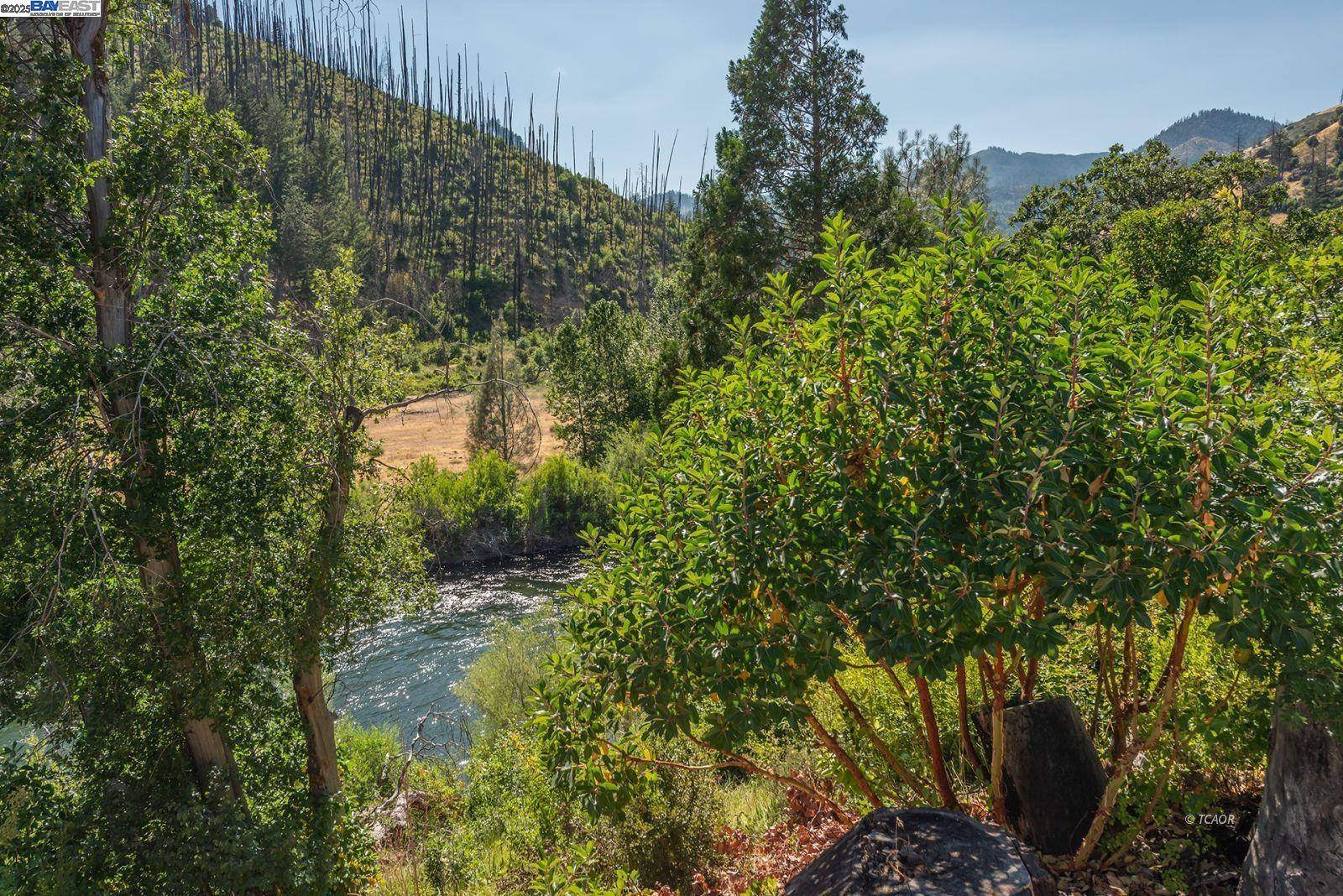 38500 Highway 299 Junction City, CA 96048 - Photo 46 of 49 a view of a garden