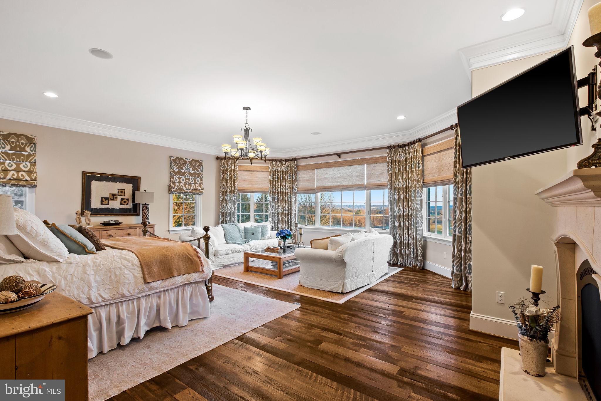 905 Hayfields Road Cockeysville, MD 21030 - Photo 26 of 69 Main level owner's suite with gas fireplace