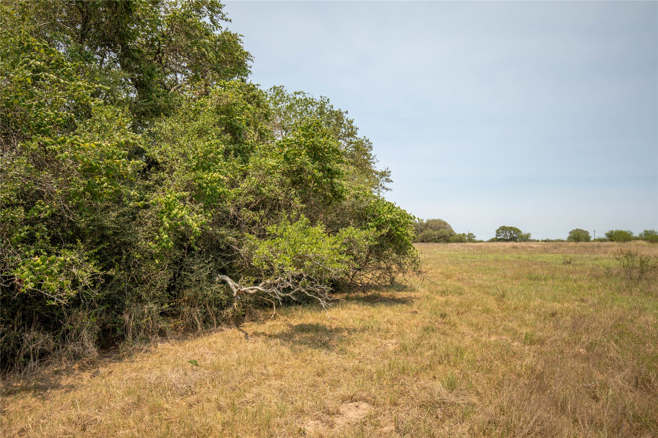 0 Green Dewitt Road Cuero, TX 77954 - Photo 32 of 40