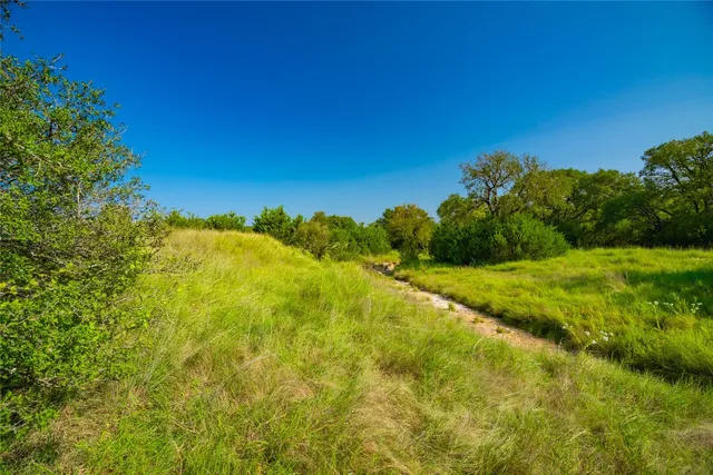 a view of a yard with a house in the background