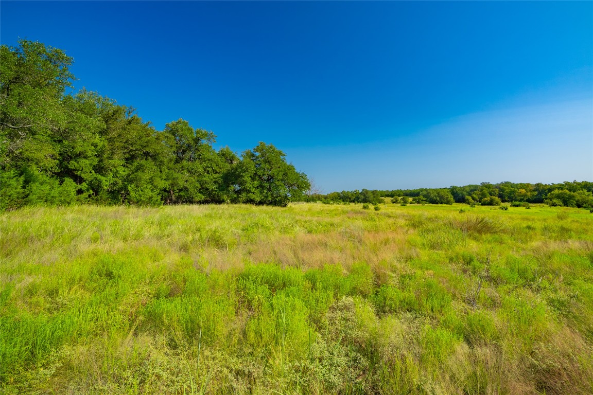 4 County Road 228 Florence, TX 76527 - Photo 6 of 18 a view of yard with swimming pool and green space