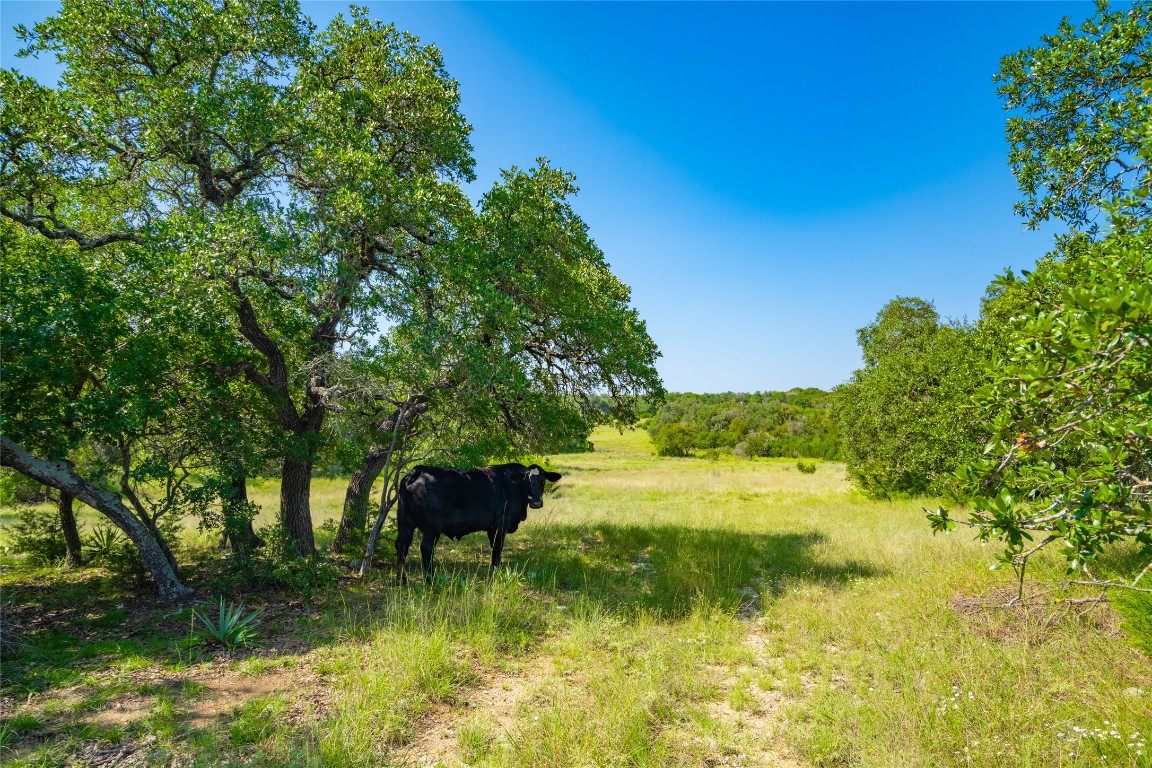 4 County Road 228 Florence, TX 76527 - Photo 8 of 18 a view of a garden