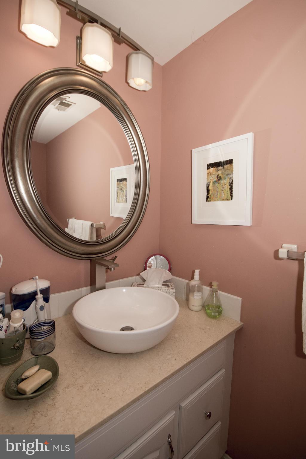 23 Raisin Tree Circle Pikesville, MD 21208 - Photo 2 of 22 Bath