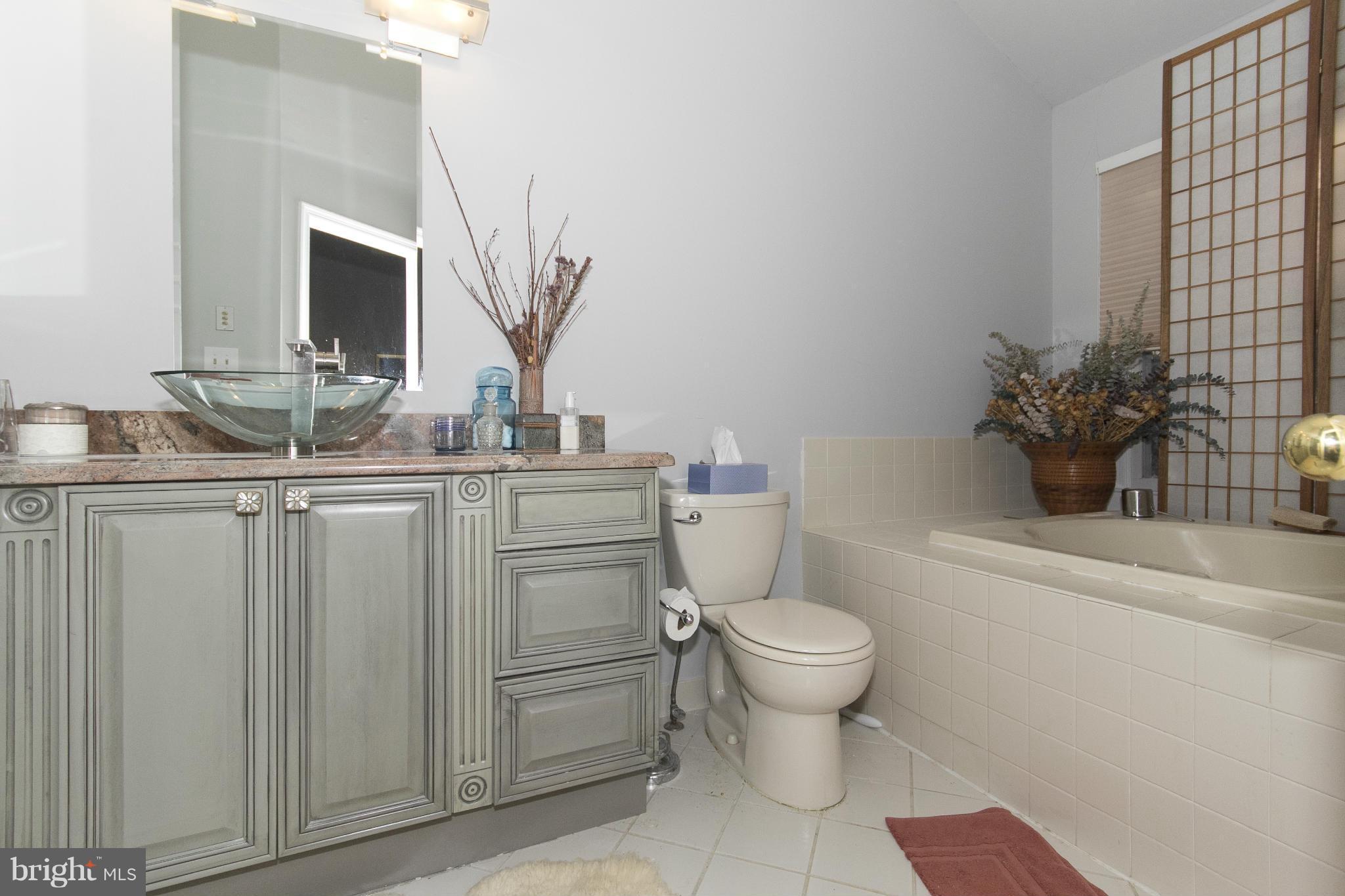 23 Raisin Tree Circle Pikesville, MD 21208 - Photo 12 of 22 Bath (Master)