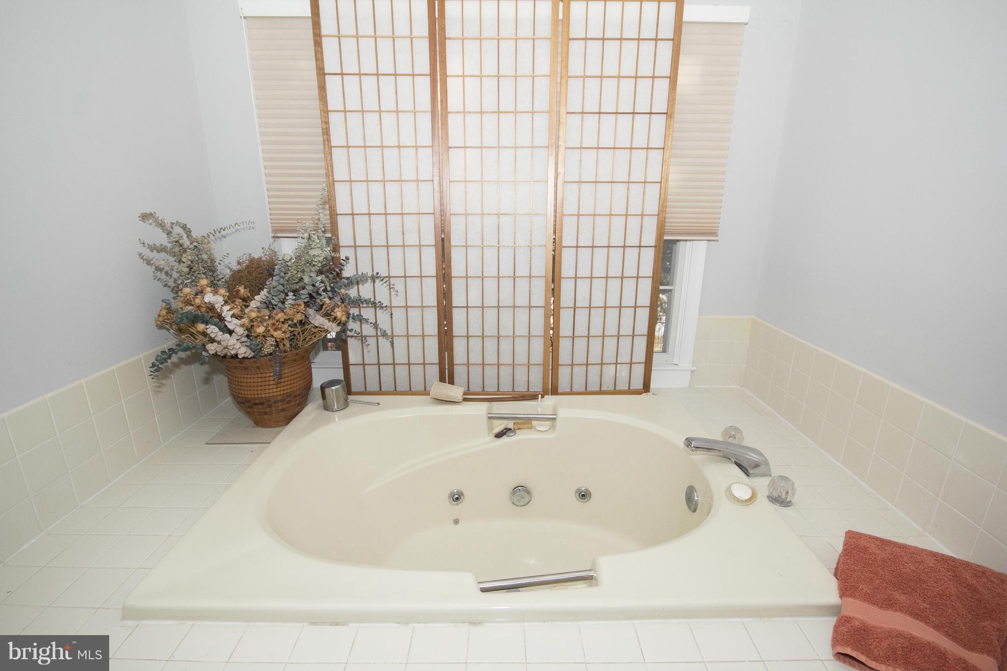 23 Raisin Tree Circle Pikesville, MD 21208 - Photo 13 of 22 Bath (Master)