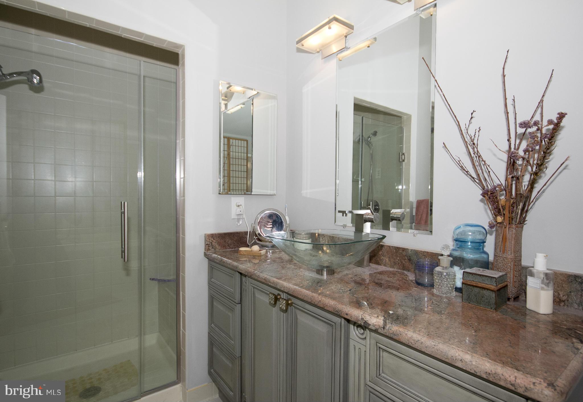 23 Raisin Tree Circle Pikesville, MD 21208 - Photo 14 of 22 Bath (Master)