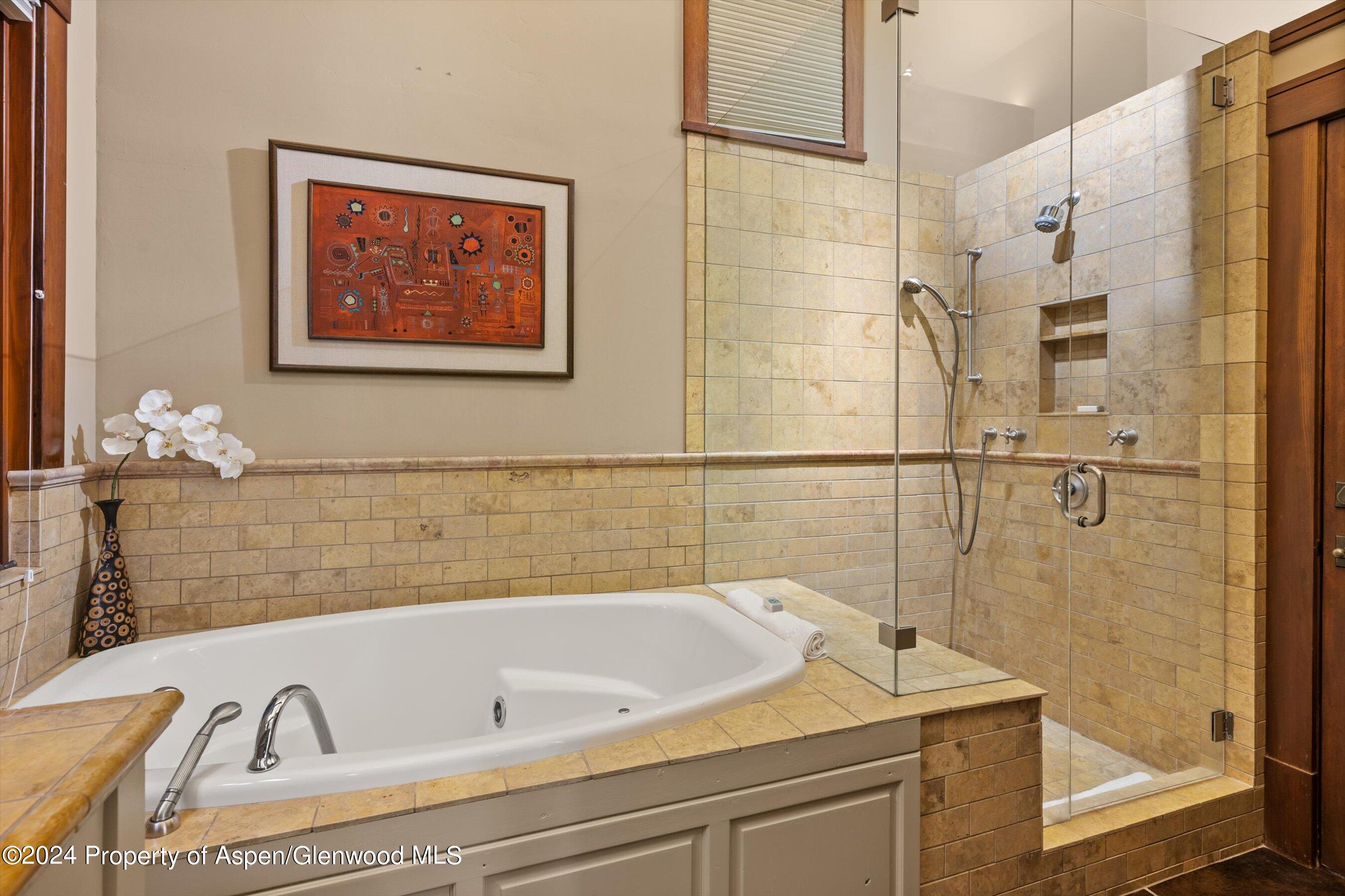 1021 Two Creeks Drive Snowmass Village, CO 81615 - Photo 23 of 47 a bathroom with a bathtub and shower